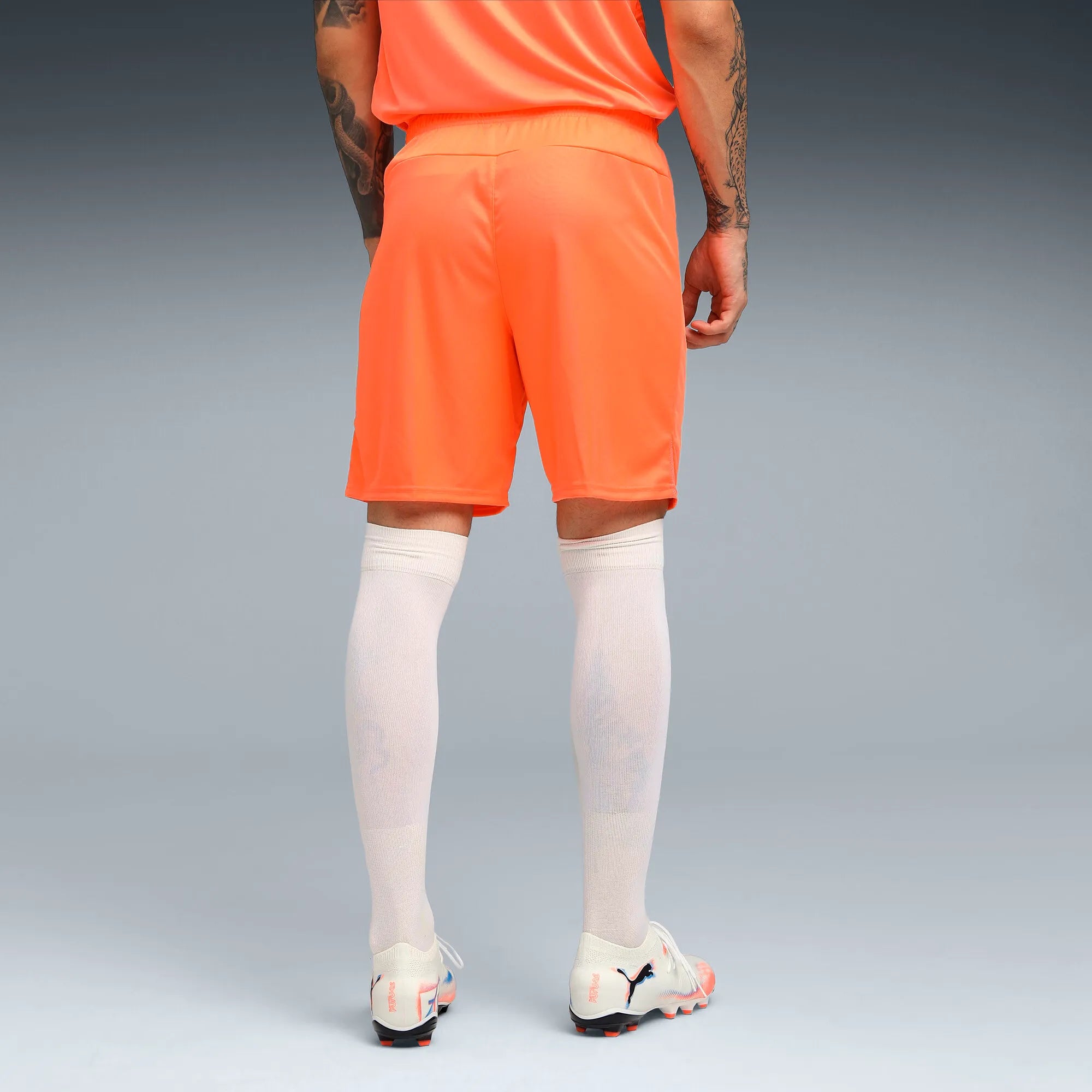 Puma teamGOAL Shorts Herr