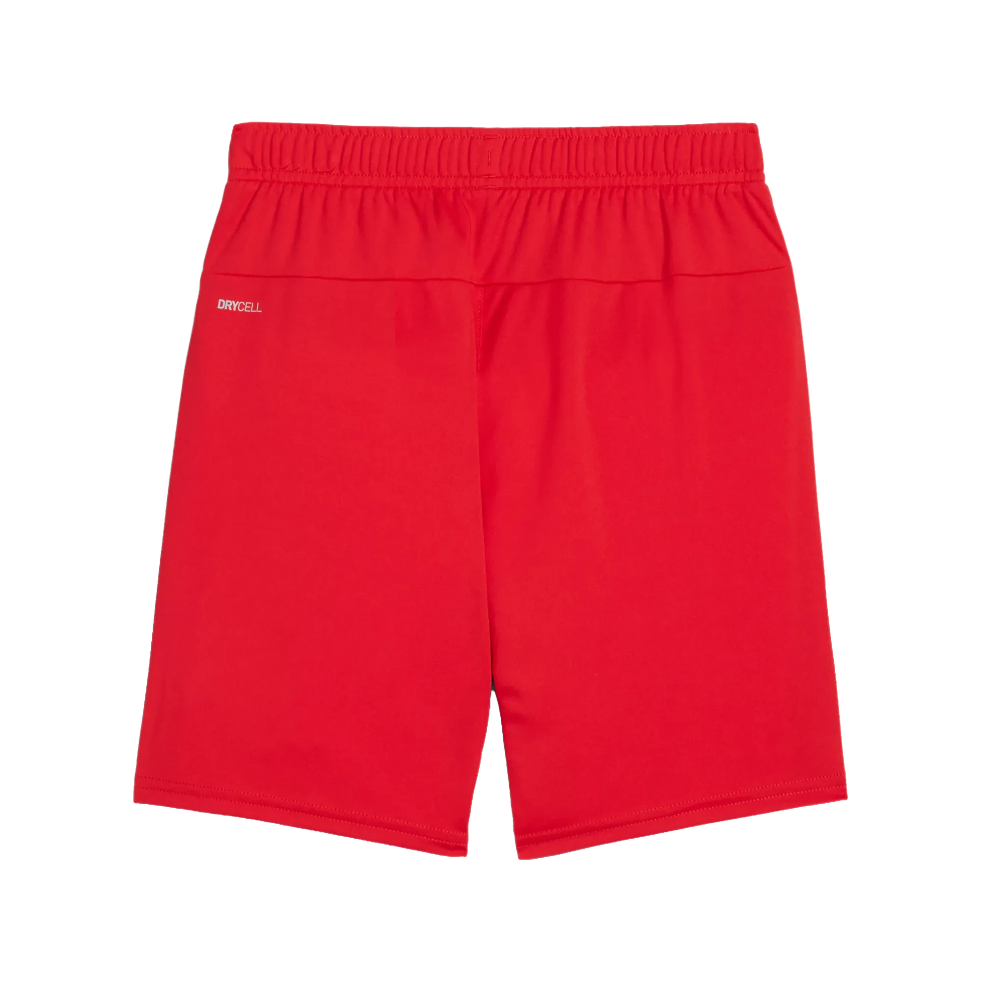 Puma teamGOAL Shorts Barn