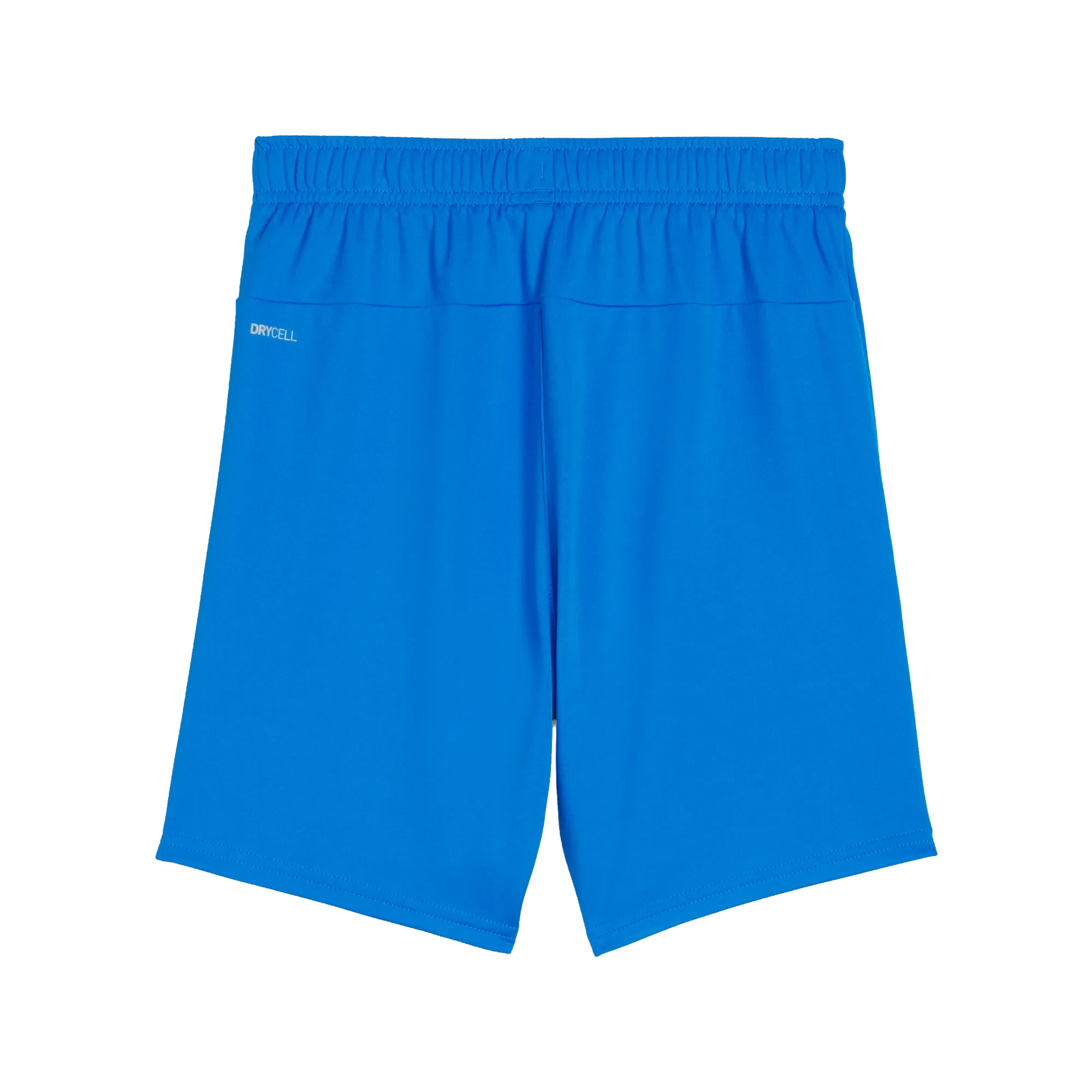 Puma teamGOAL Shorts Barn
