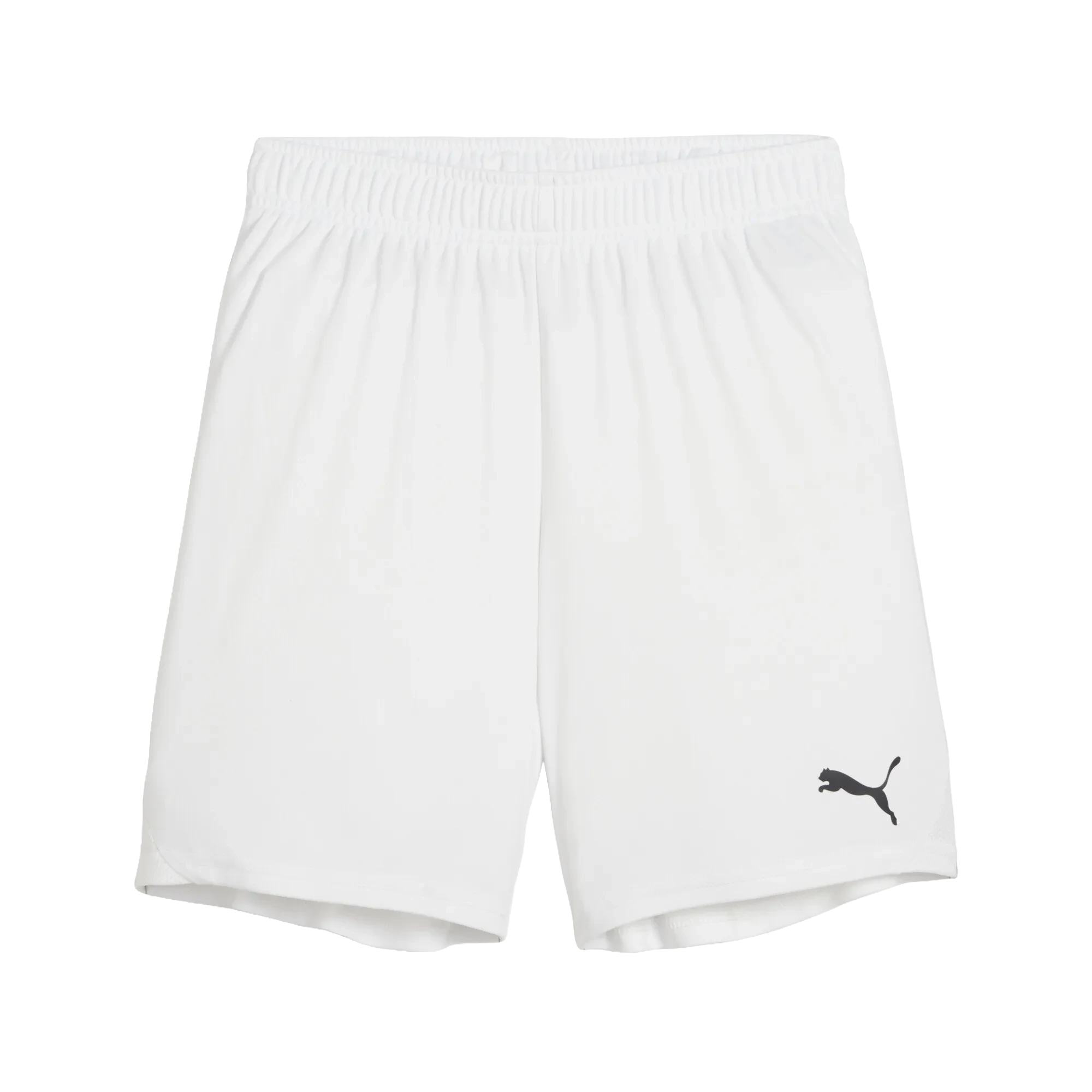 Puma teamGOAL Shorts Barn