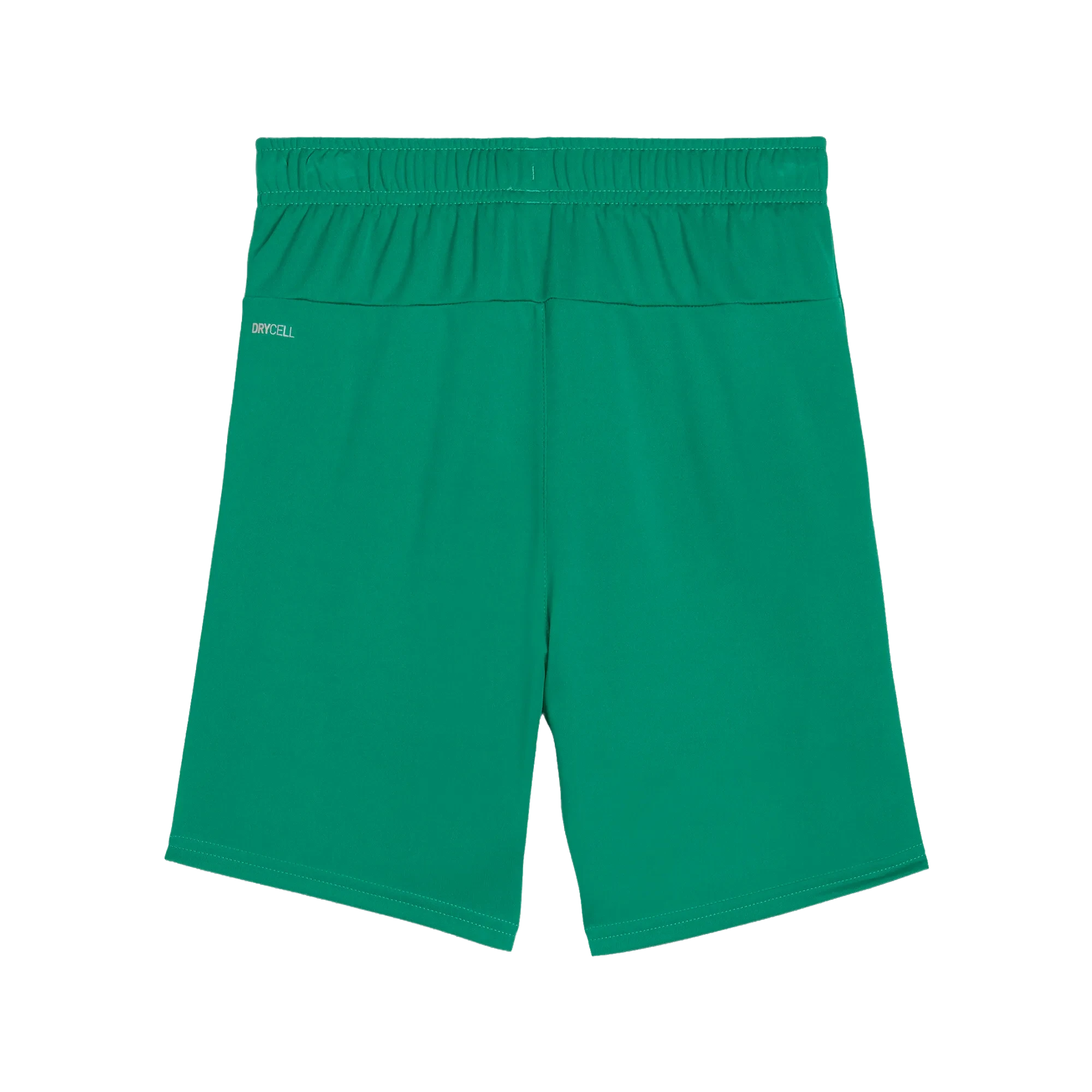 Puma teamGOAL Shorts Barn