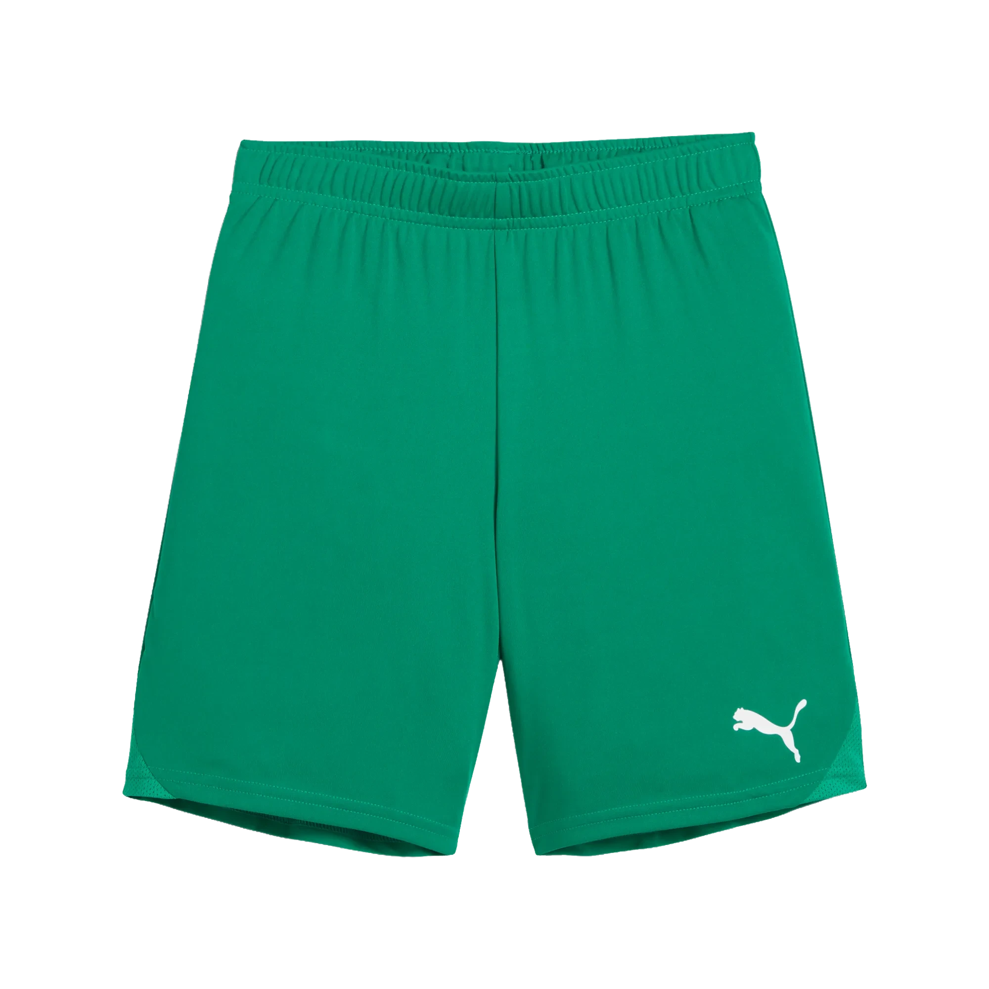 Puma teamGOAL Shorts Barn