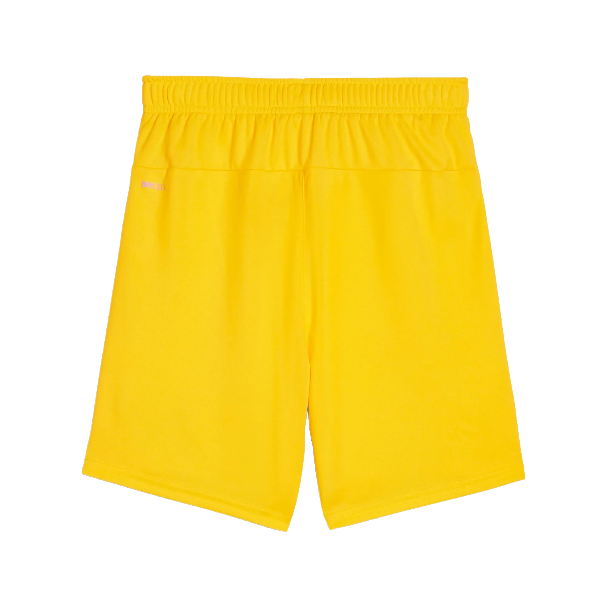 Puma teamGOAL Shorts Barn