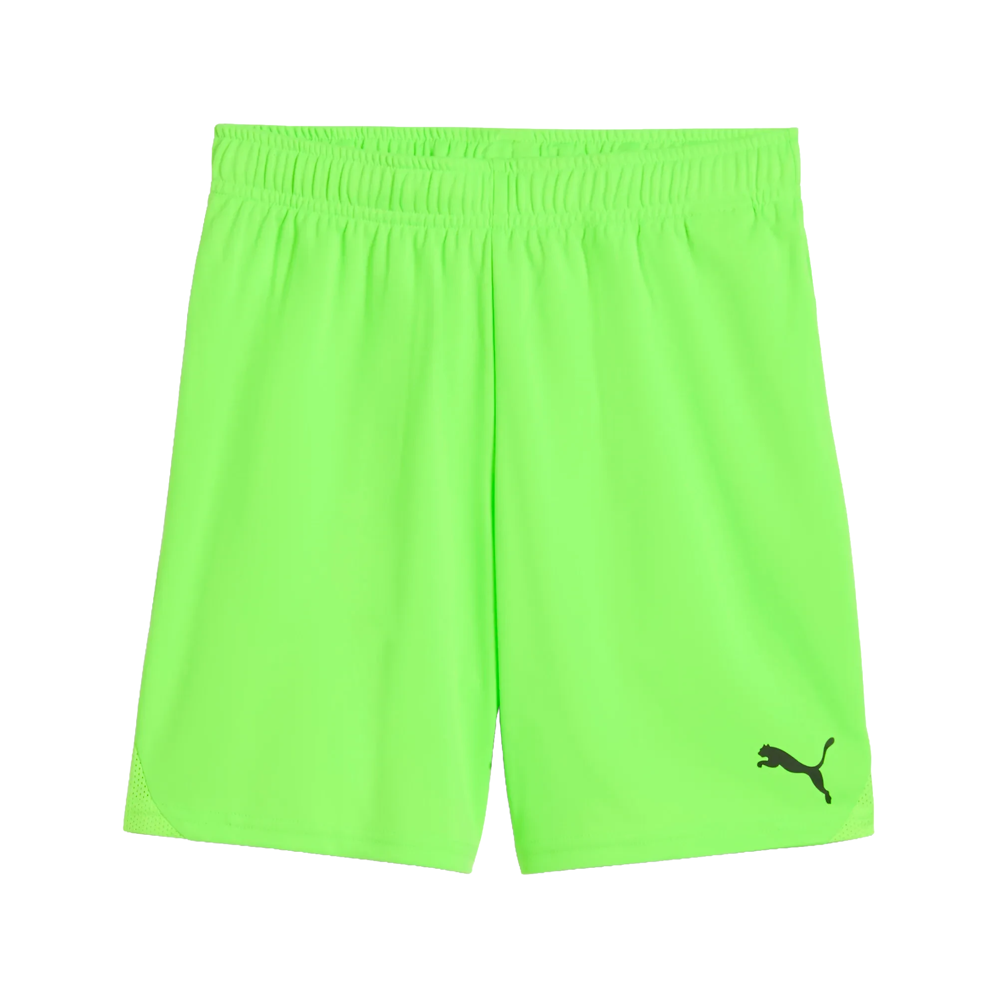 Puma teamGOAL Shorts Barn