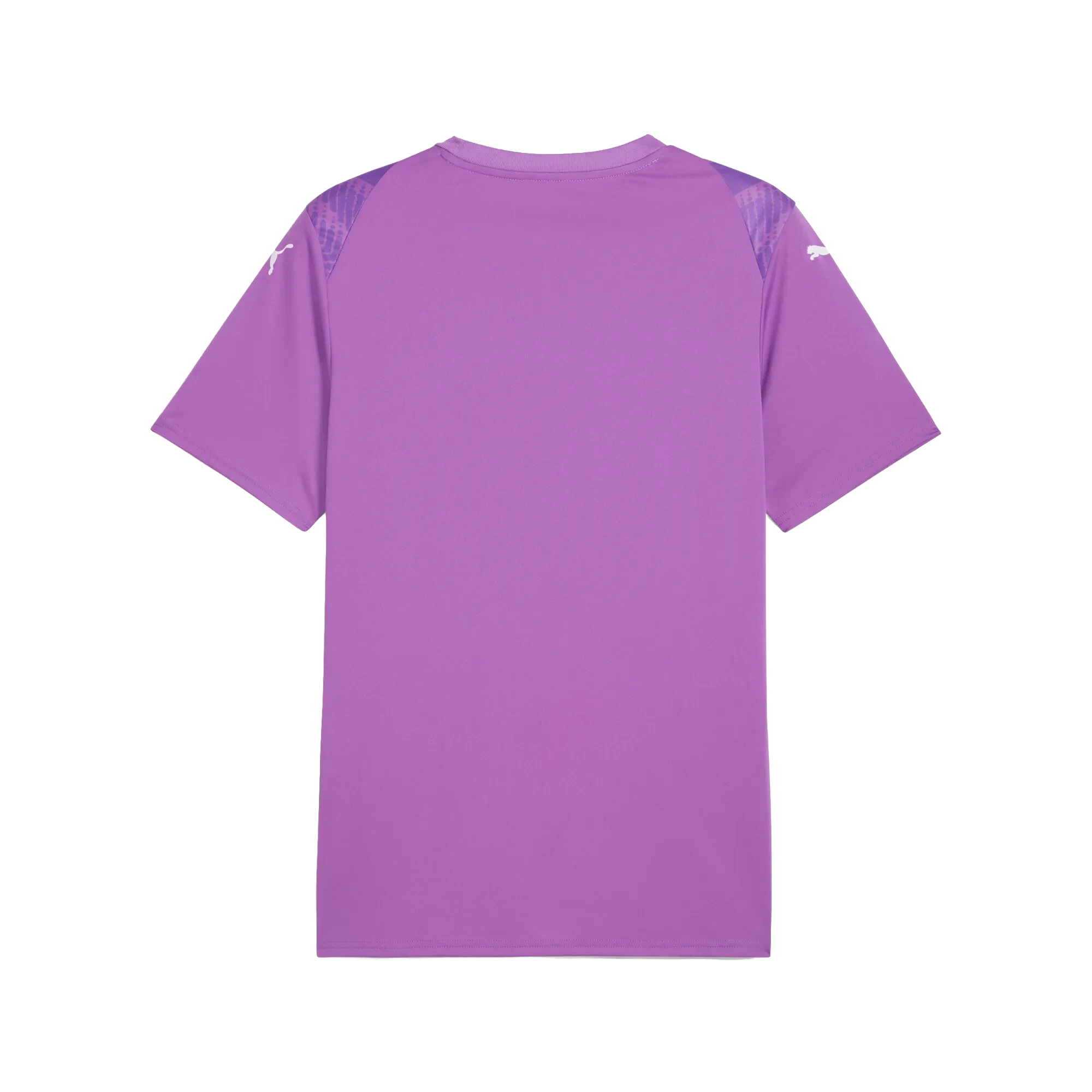 Puma teamULTIMATE Jersey Herr