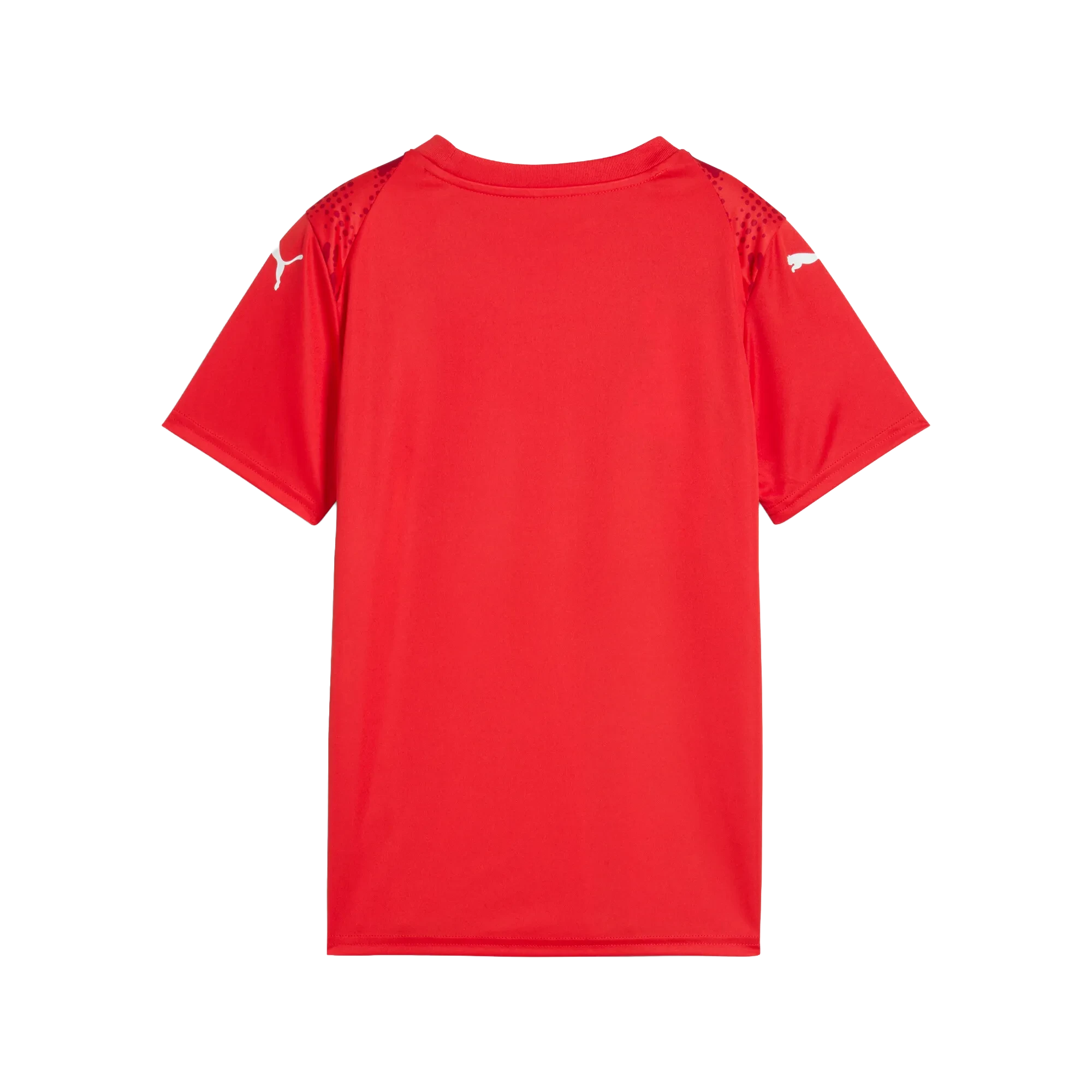 Puma teamULTIMATE Jersey Barn