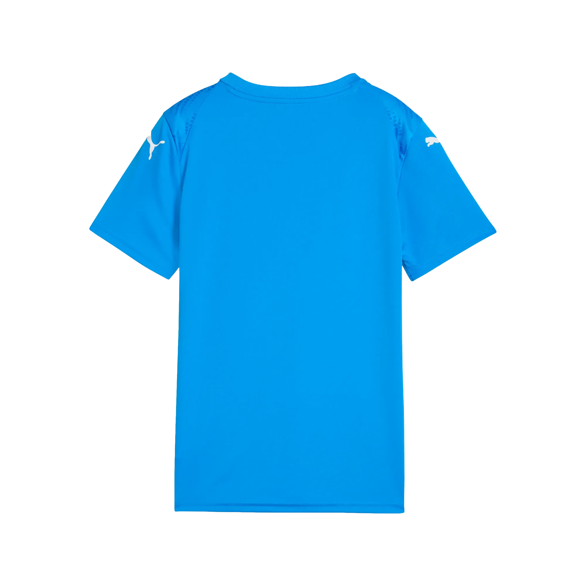 Puma teamULTIMATE Jersey Barn