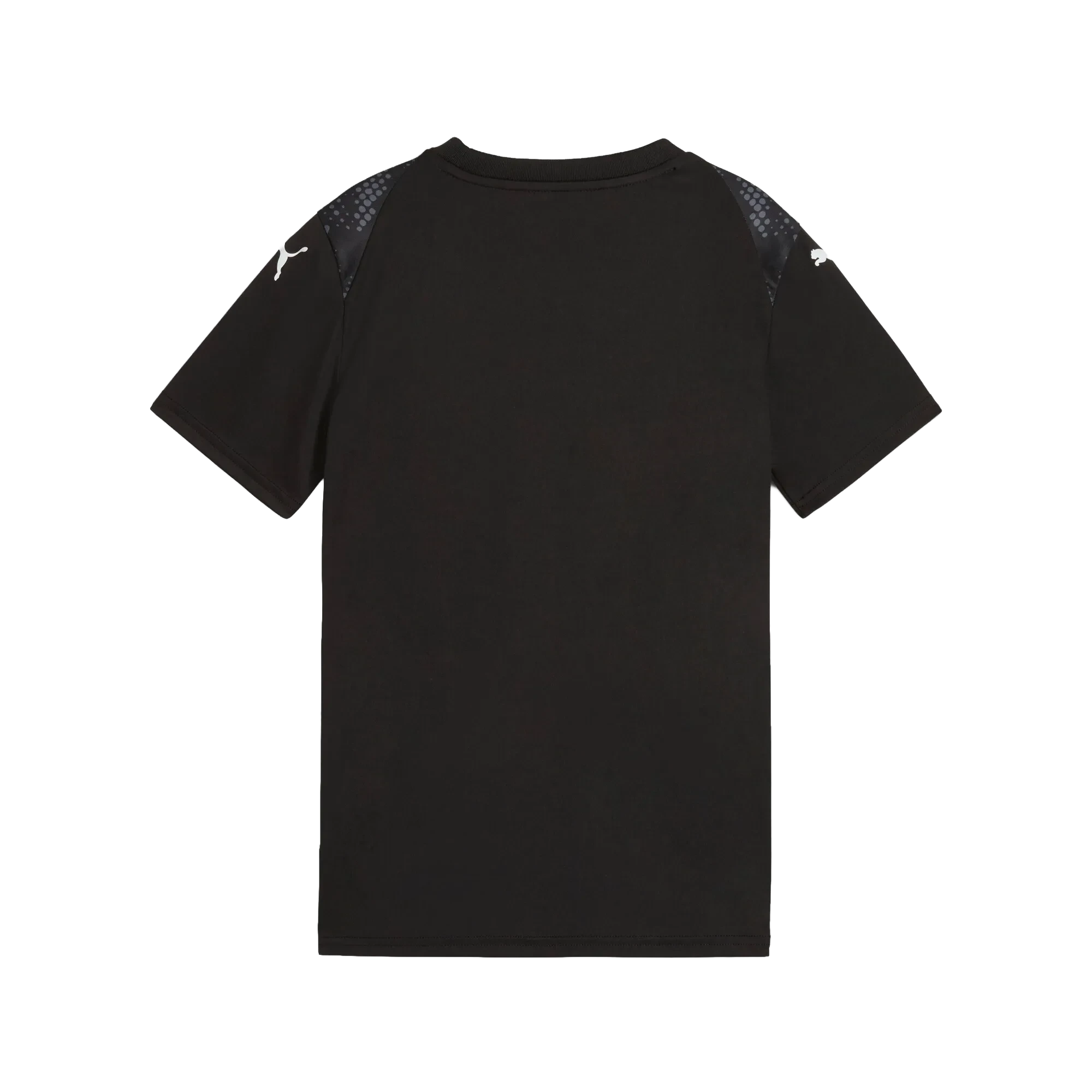 Puma teamULTIMATE Jersey Barn