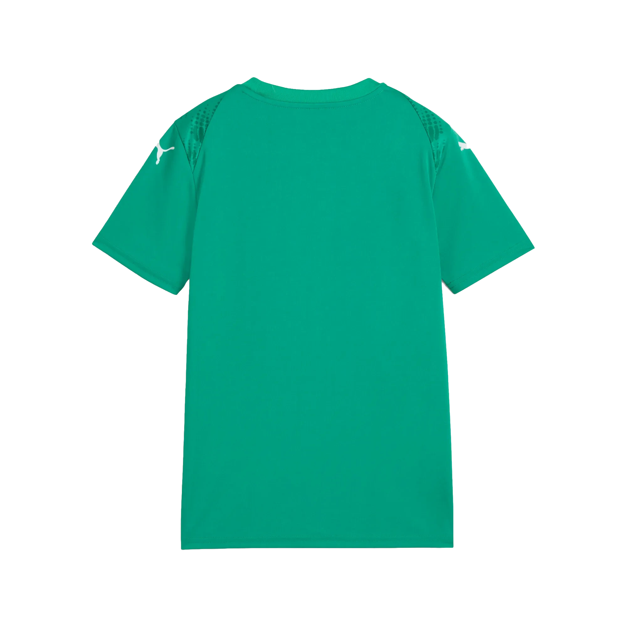 Puma teamULTIMATE Jersey Barn