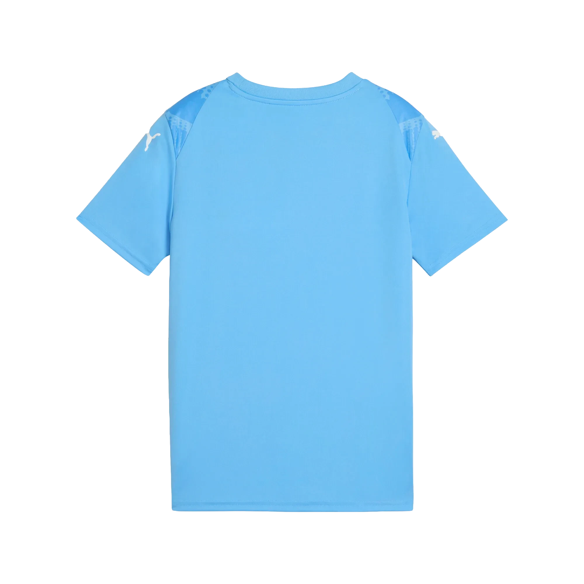 Puma teamULTIMATE Jersey Barn