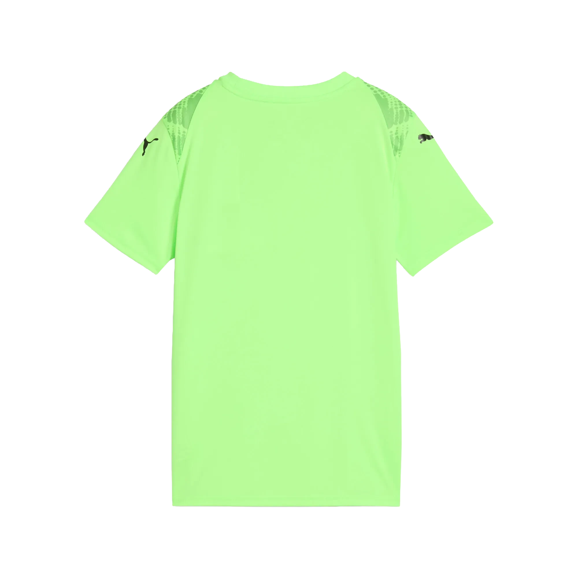 Puma teamULTIMATE Jersey Barn