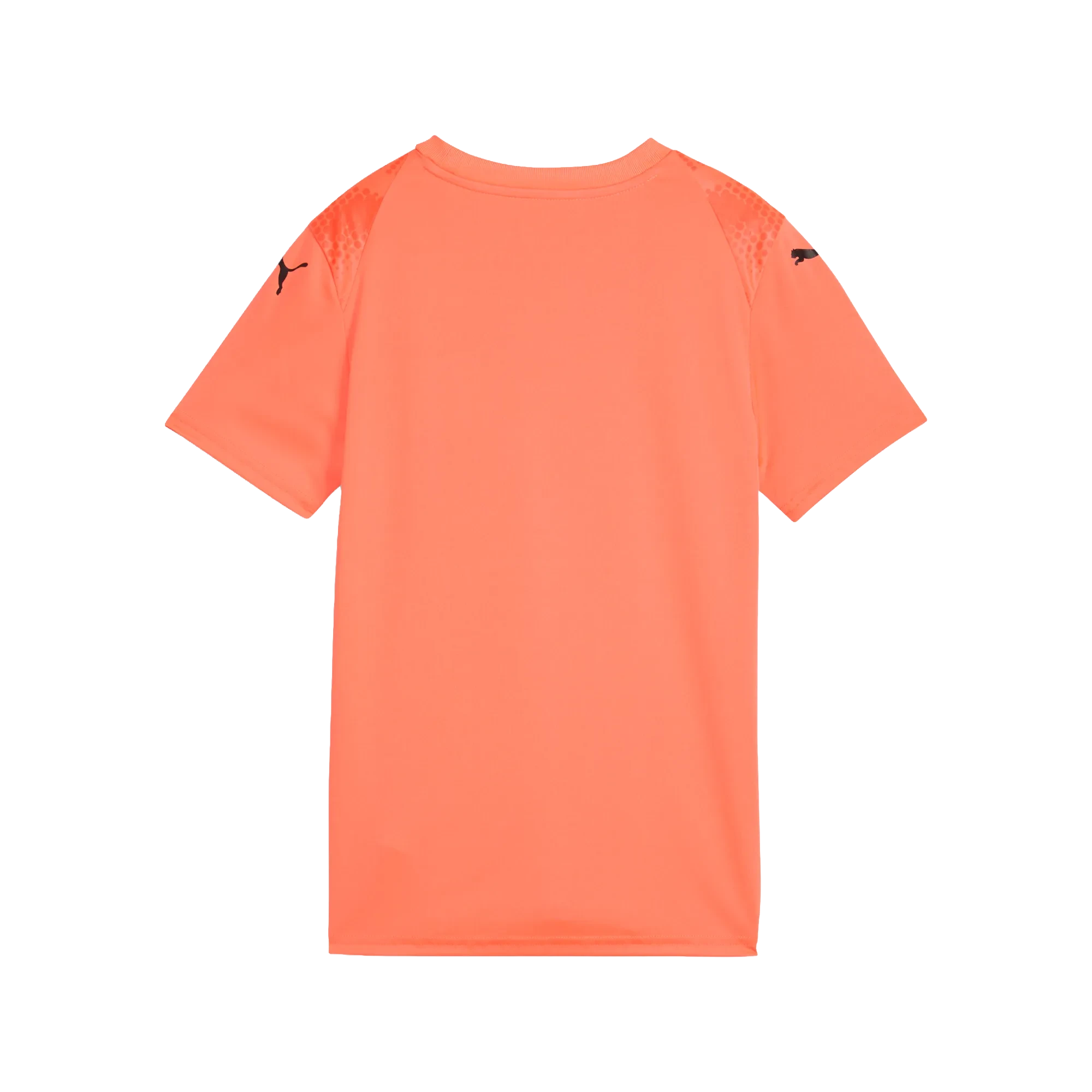 Puma teamULTIMATE Jersey Barn