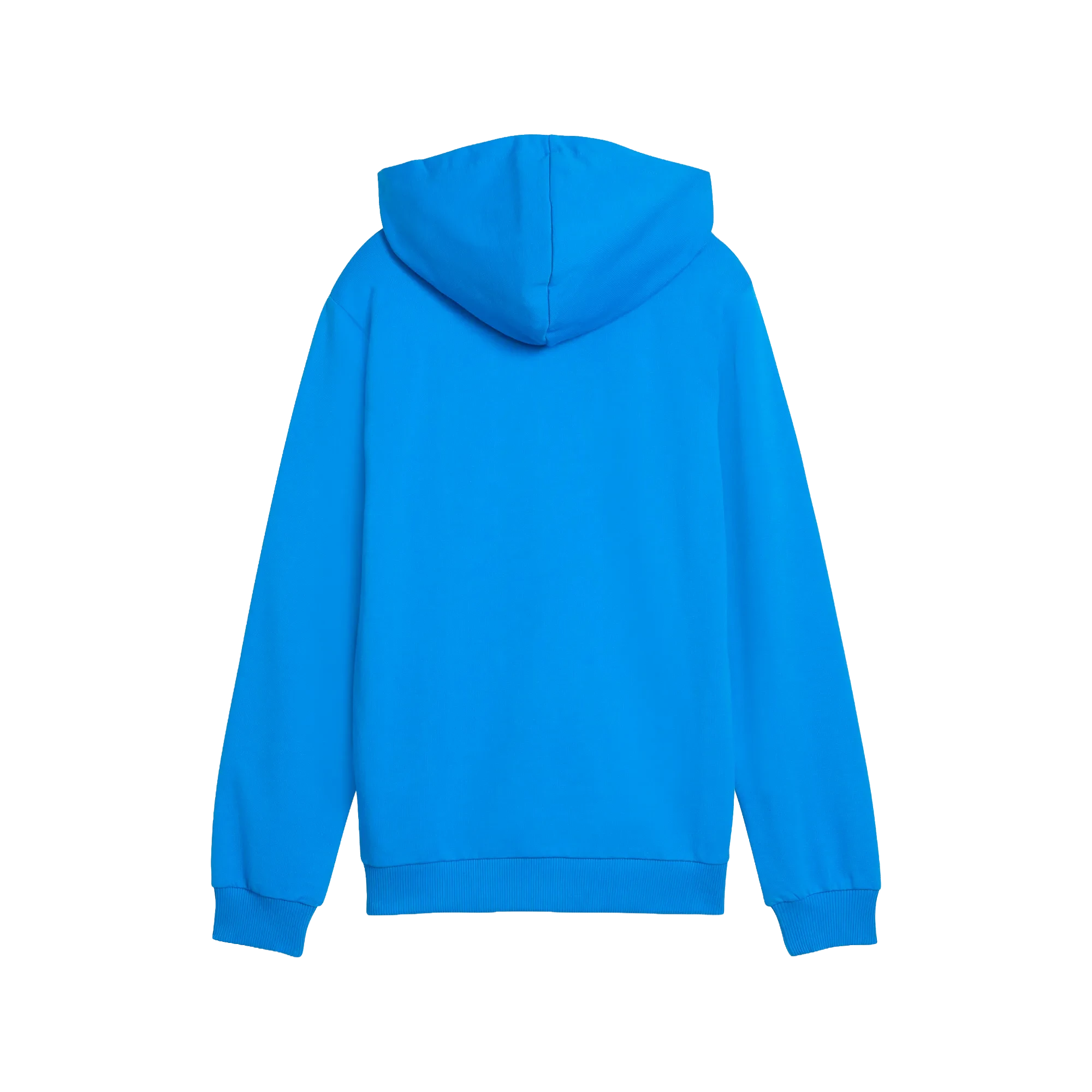Puma teamGOAL Casuals Hoody Barn