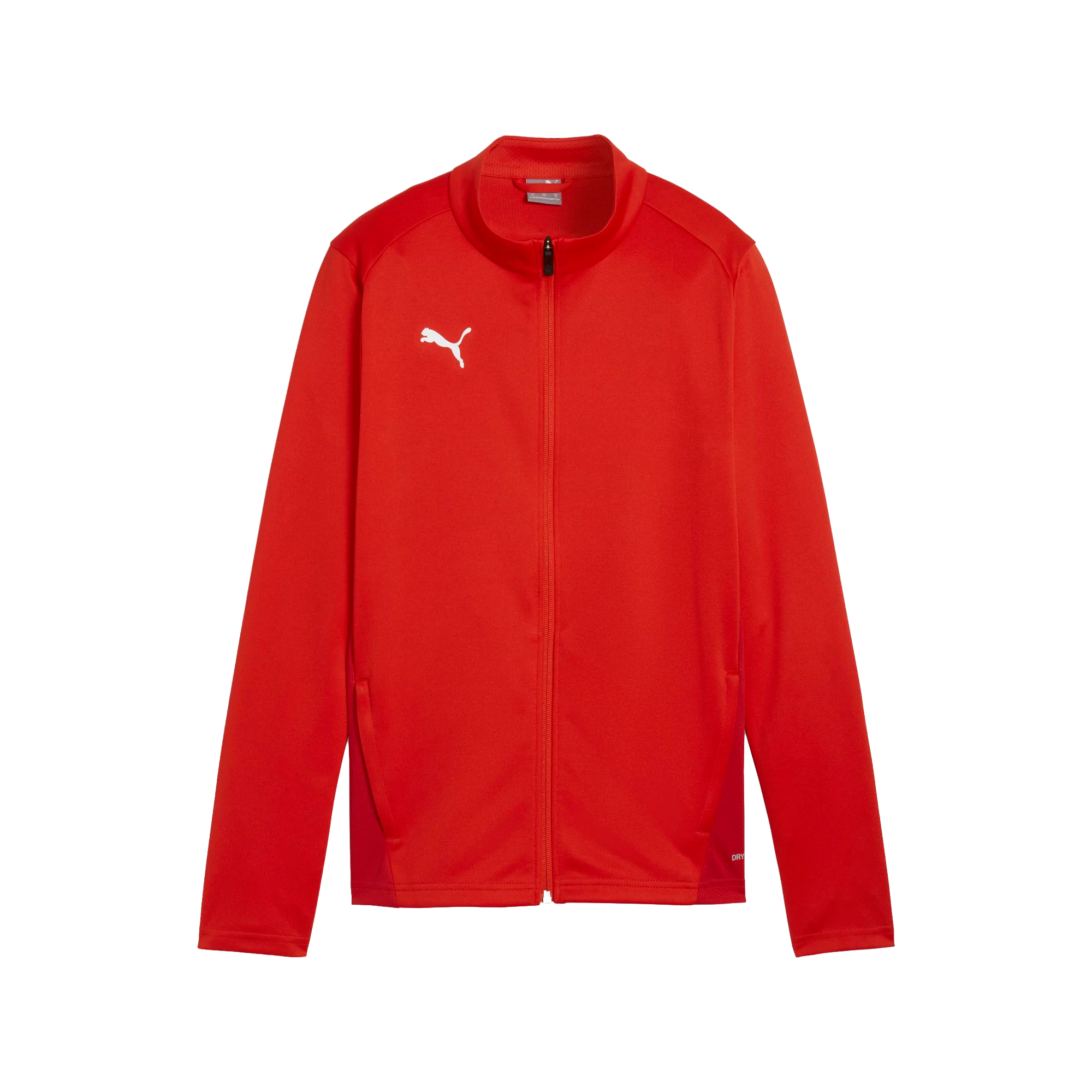 Puma teamGOAL Training Jacket Dam