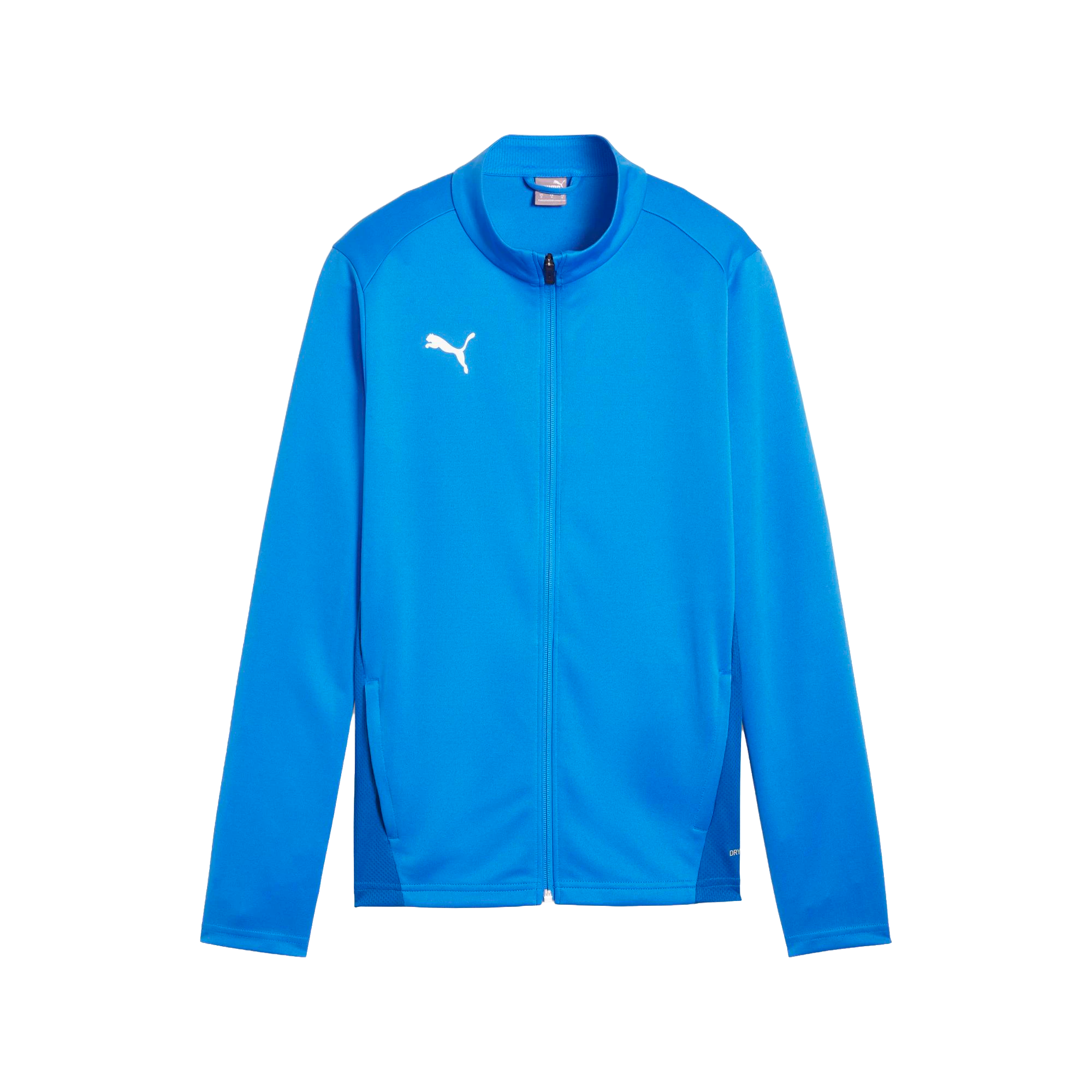 Puma teamGOAL Training Jacket Dam