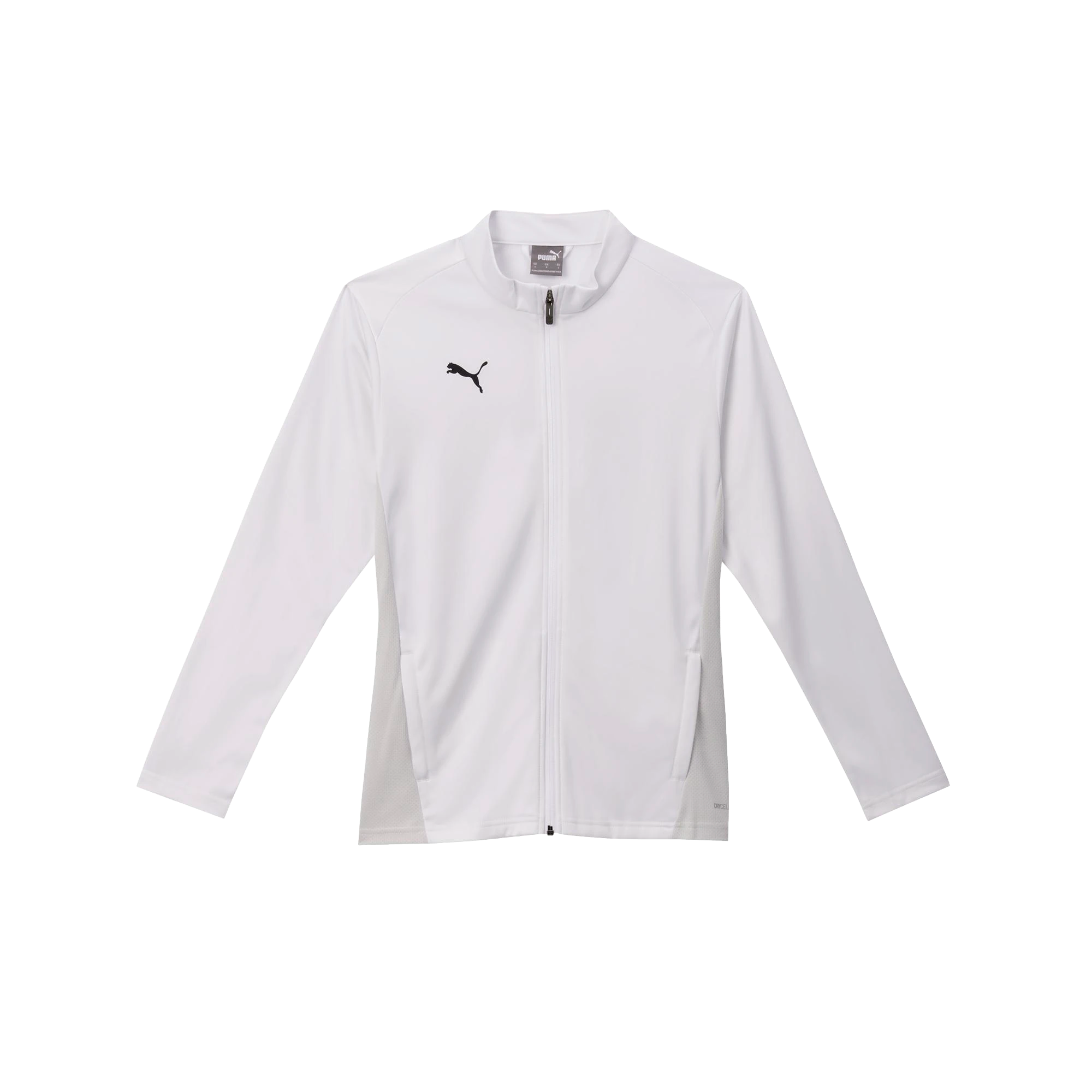 Puma teamGOAL Training Jacket Dam
