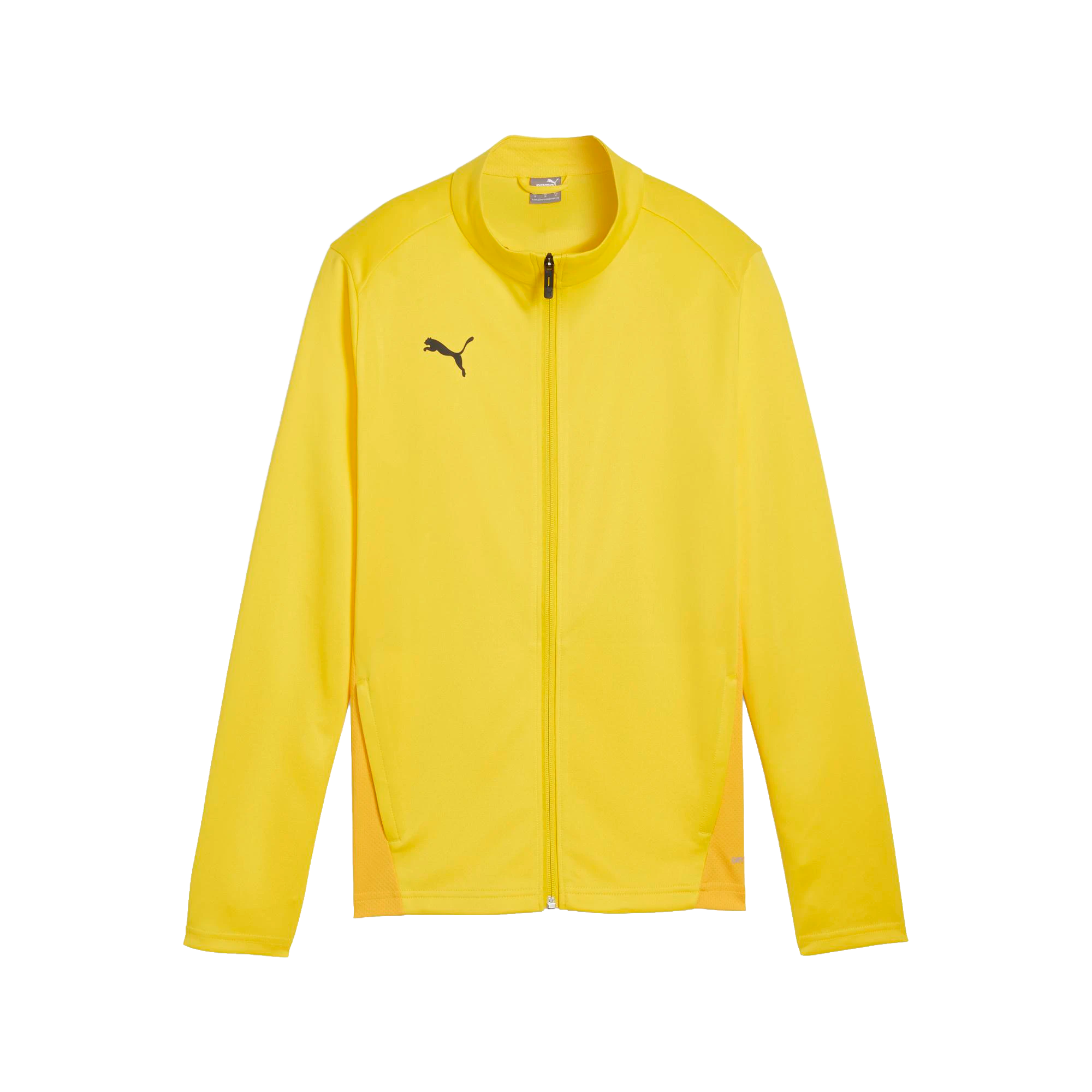Puma teamGOAL Training Jacket Dam