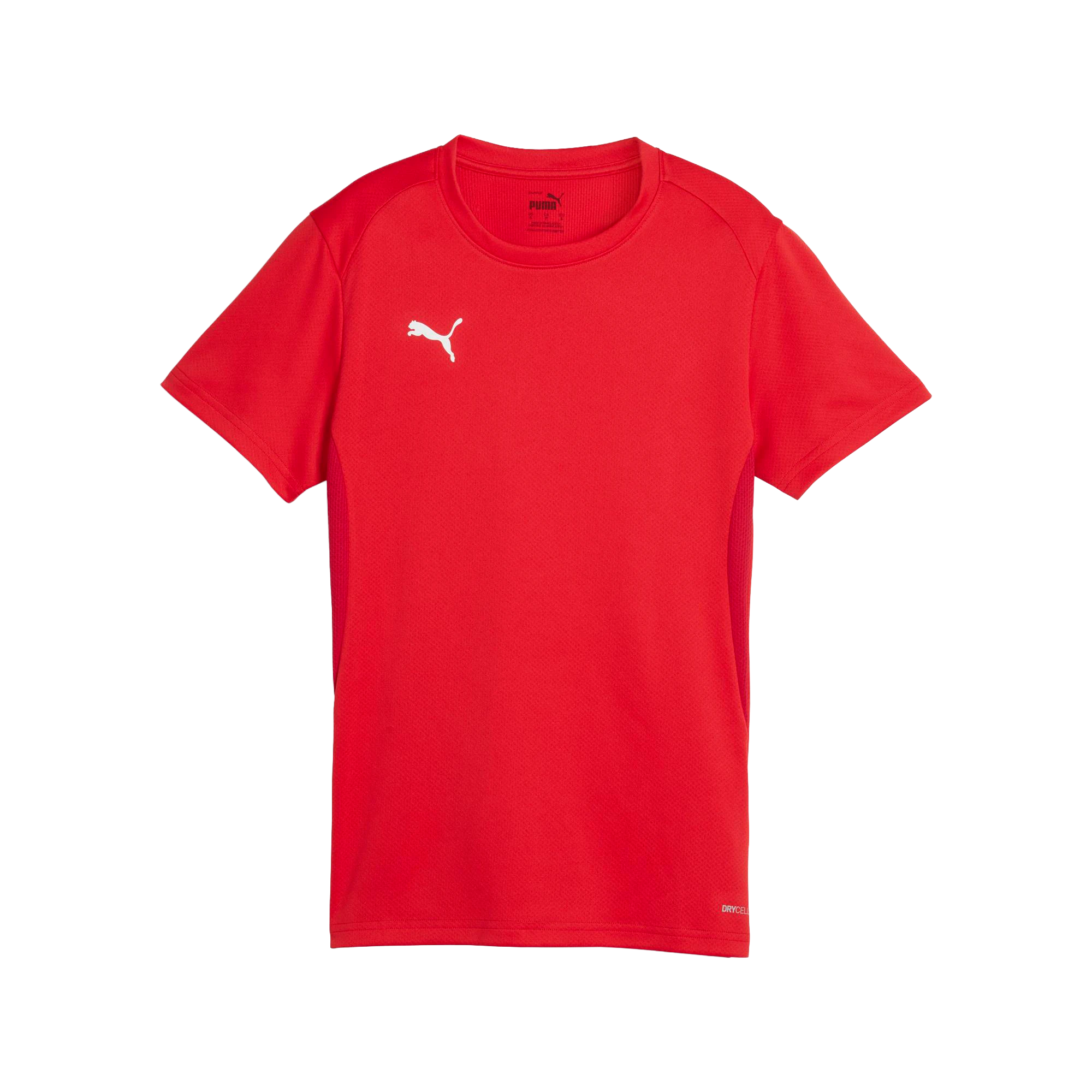 Puma teamGOAL Jersey Dam