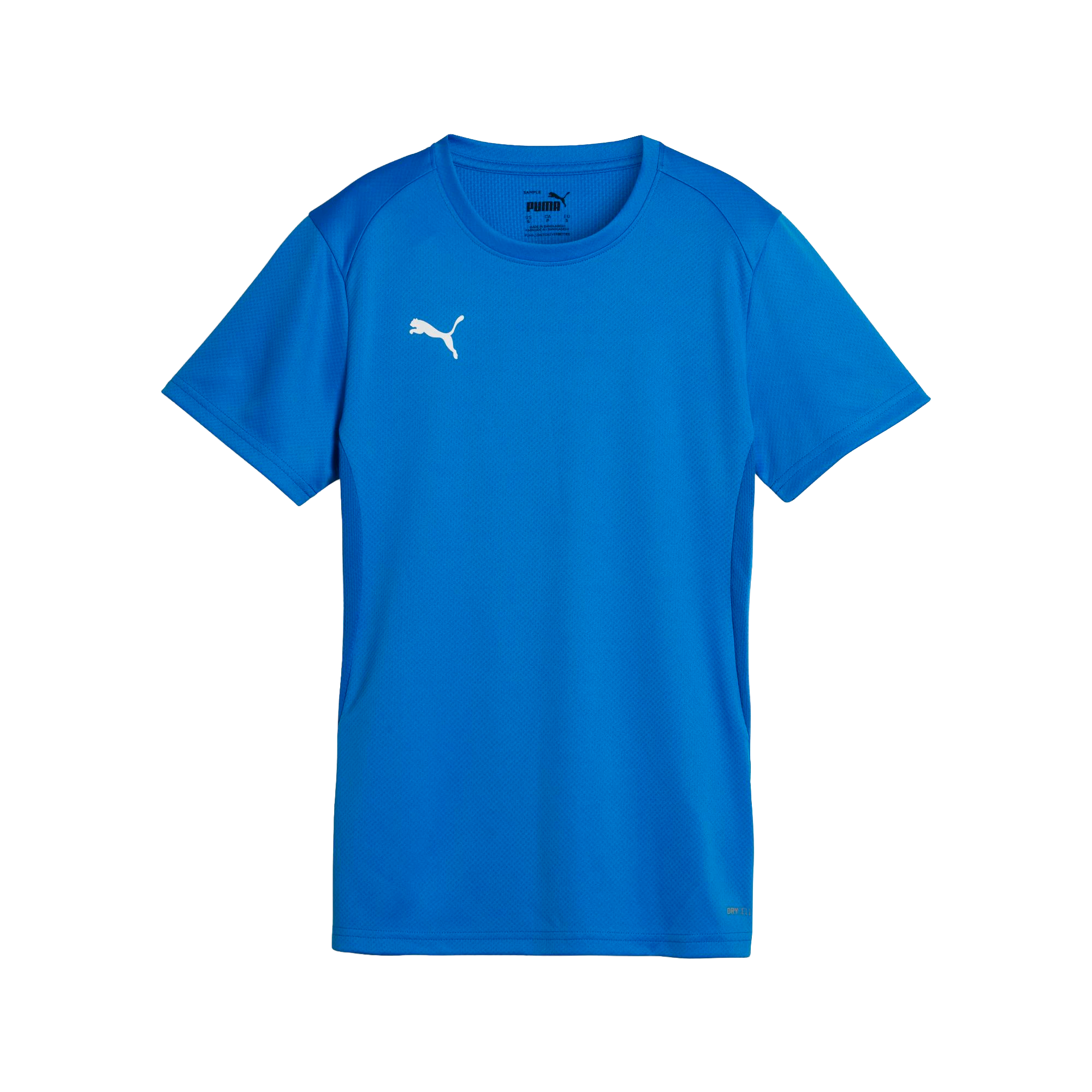 Puma teamGOAL Jersey Dam