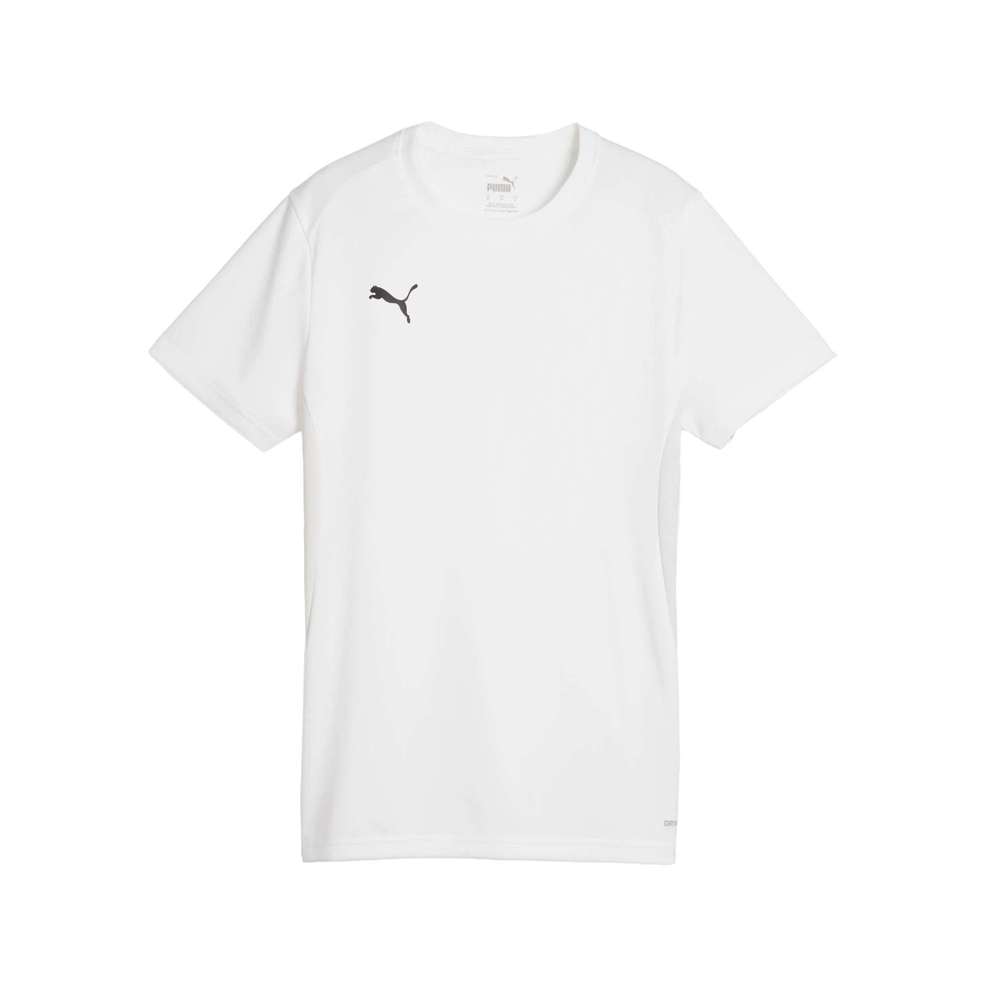 Puma teamGOAL Jersey Dam