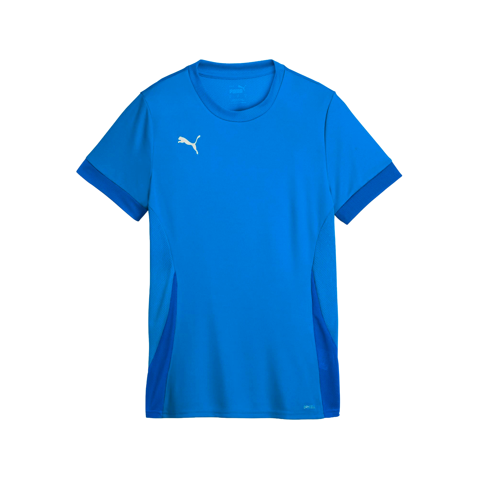 Puma teamGOAL Matchday Jersey Dam