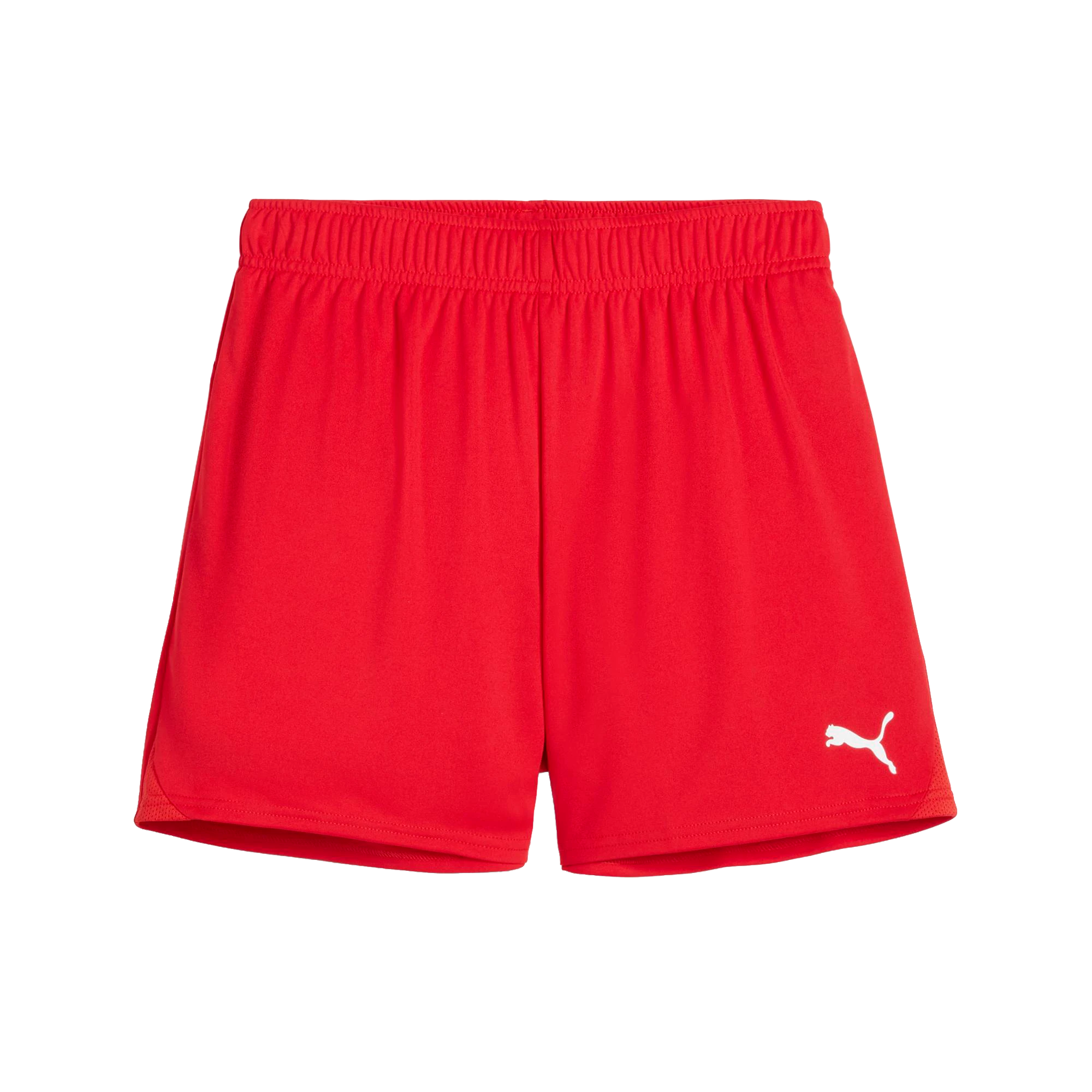 Puma teamGOAL Shorts Dam