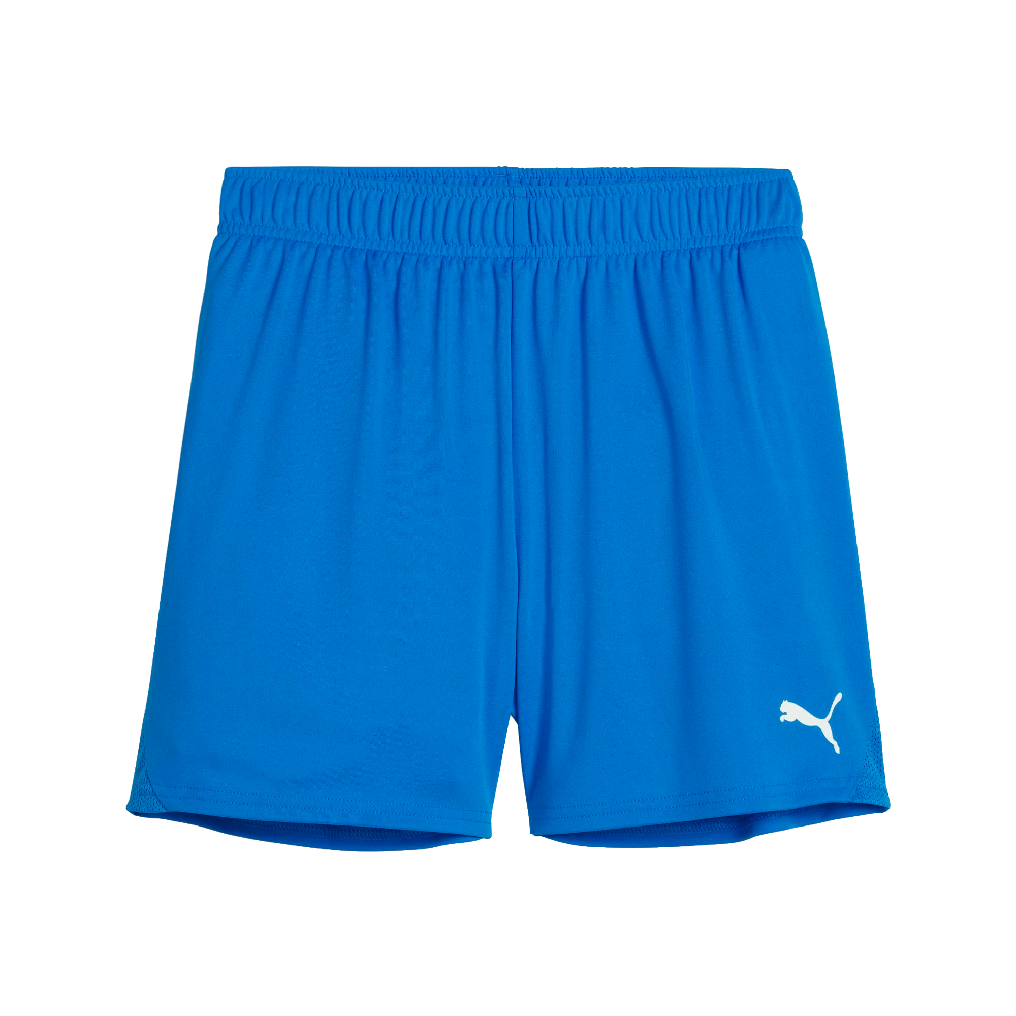 Puma teamGOAL Shorts Dam