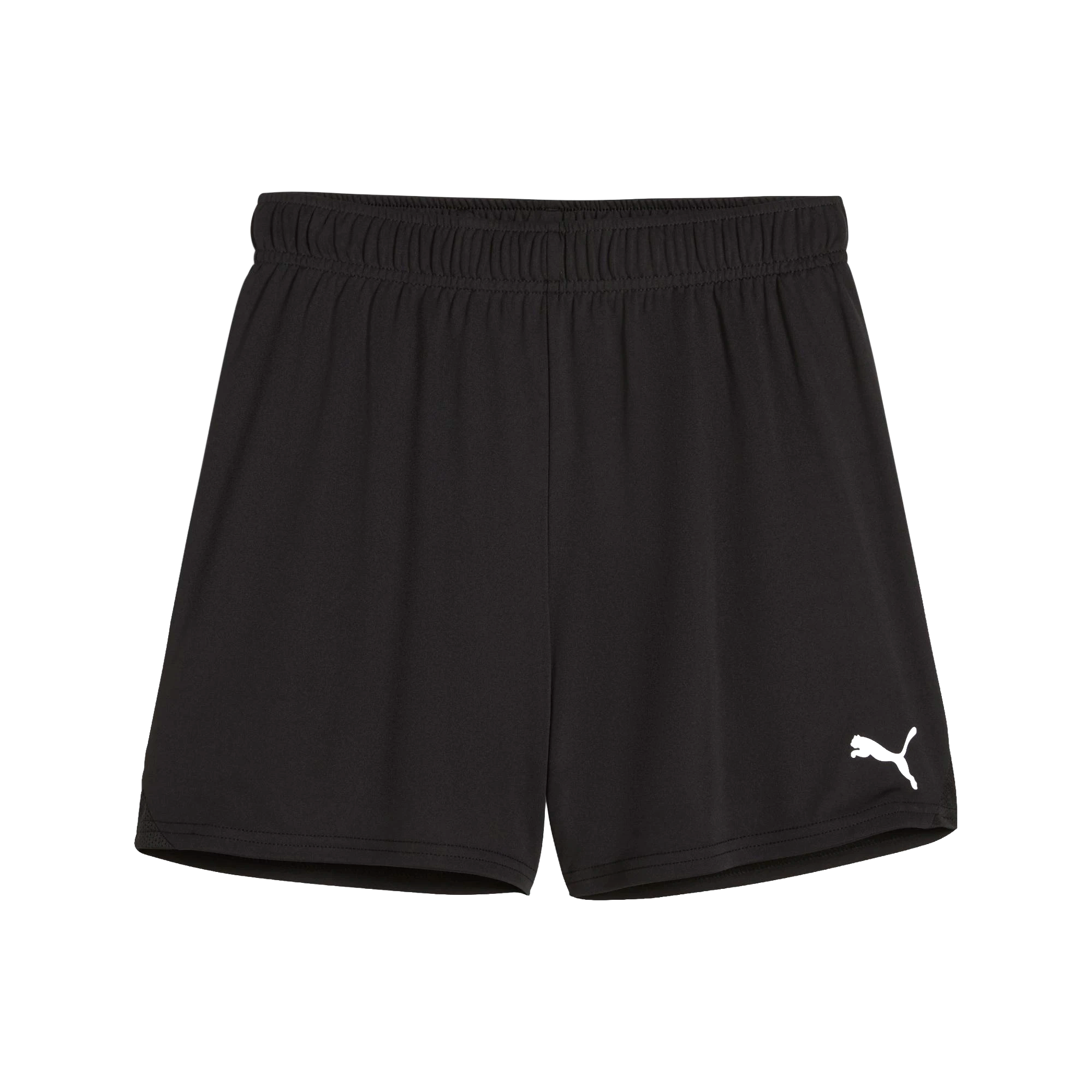Puma teamGOAL Shorts Dam