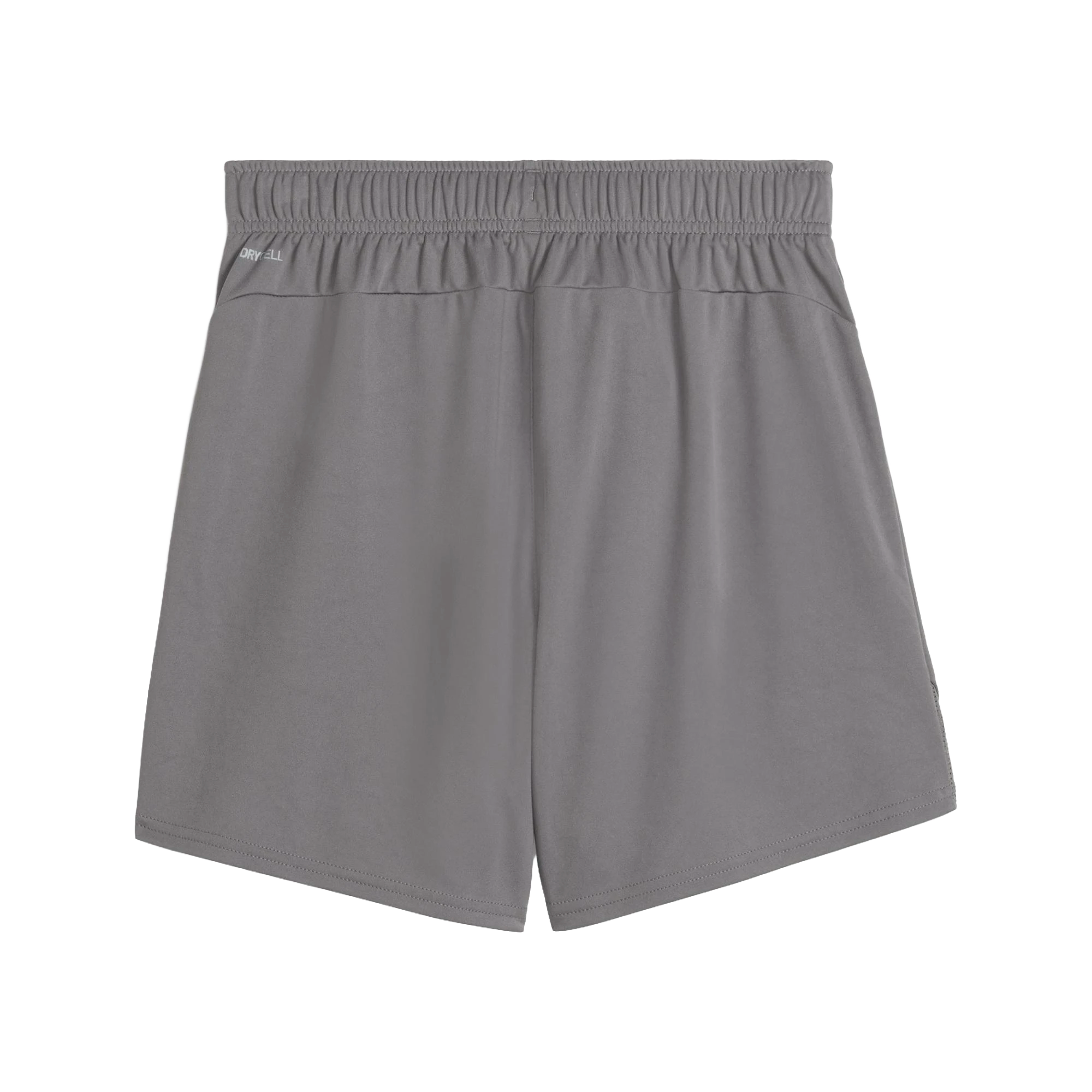 Puma teamGOAL Shorts Dam