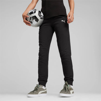 Puma teamGOAL Casuals Pants Dam
