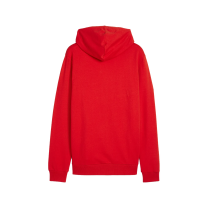 Puma teamGOAL Casuals Hoody Herr