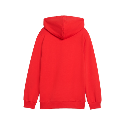 Puma teamGOAL Casuals Hoody Barn
