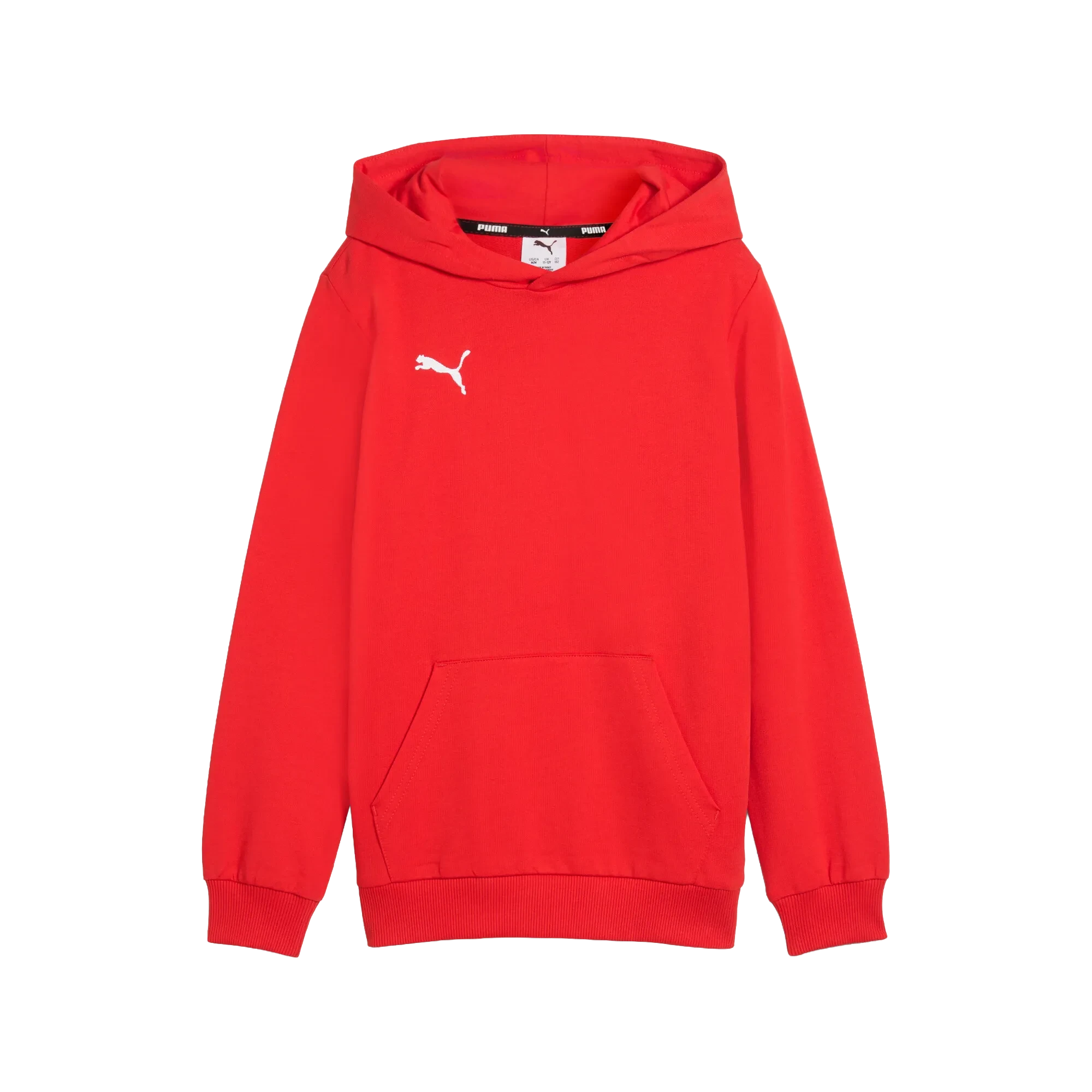 Puma teamGOAL Casuals Hoody Barn