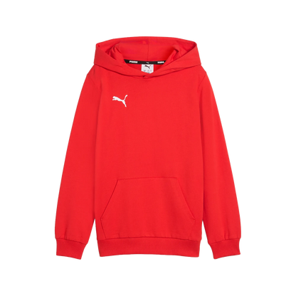 Puma teamGOAL Casuals Hoody Barn