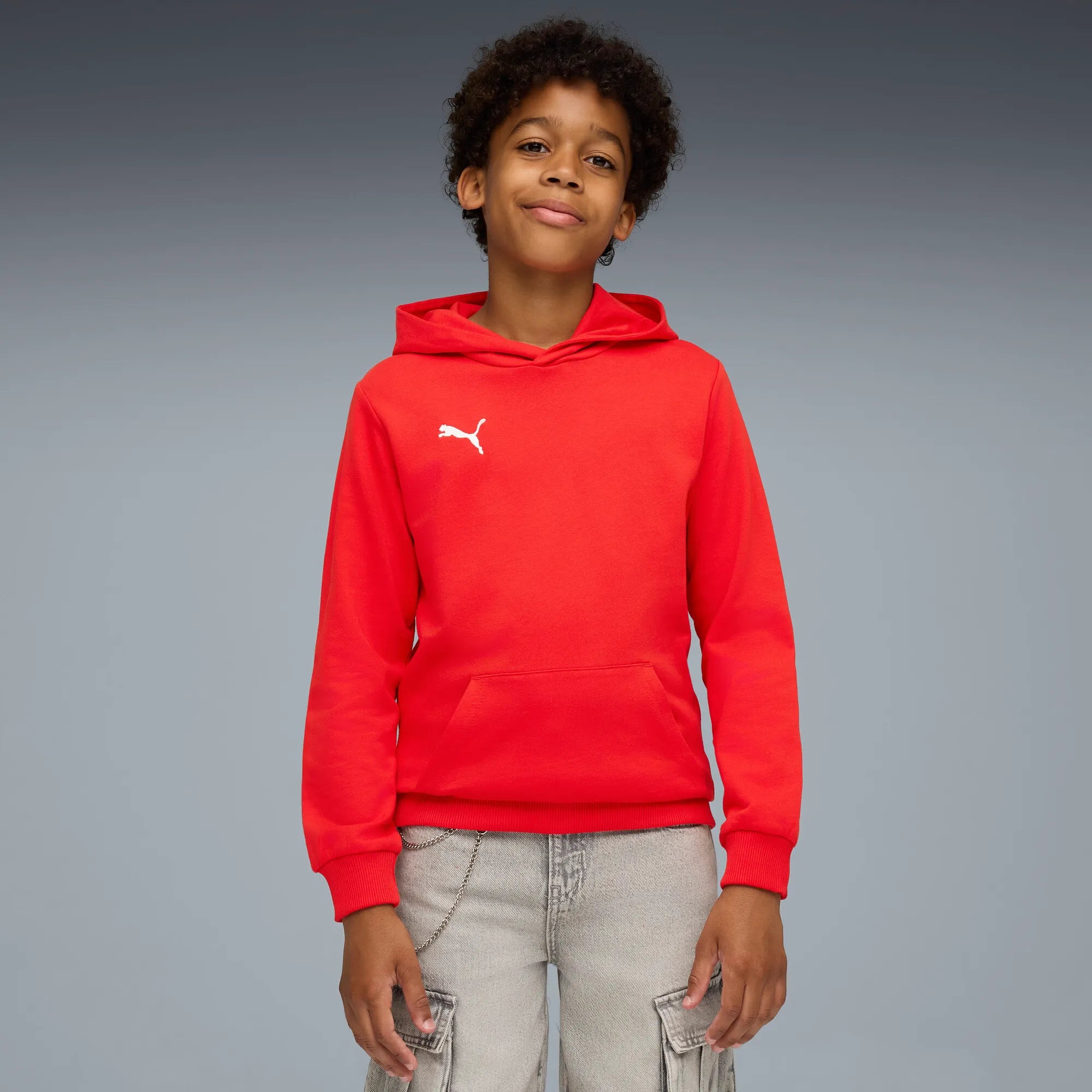 Puma teamGOAL Casuals Hoody Barn