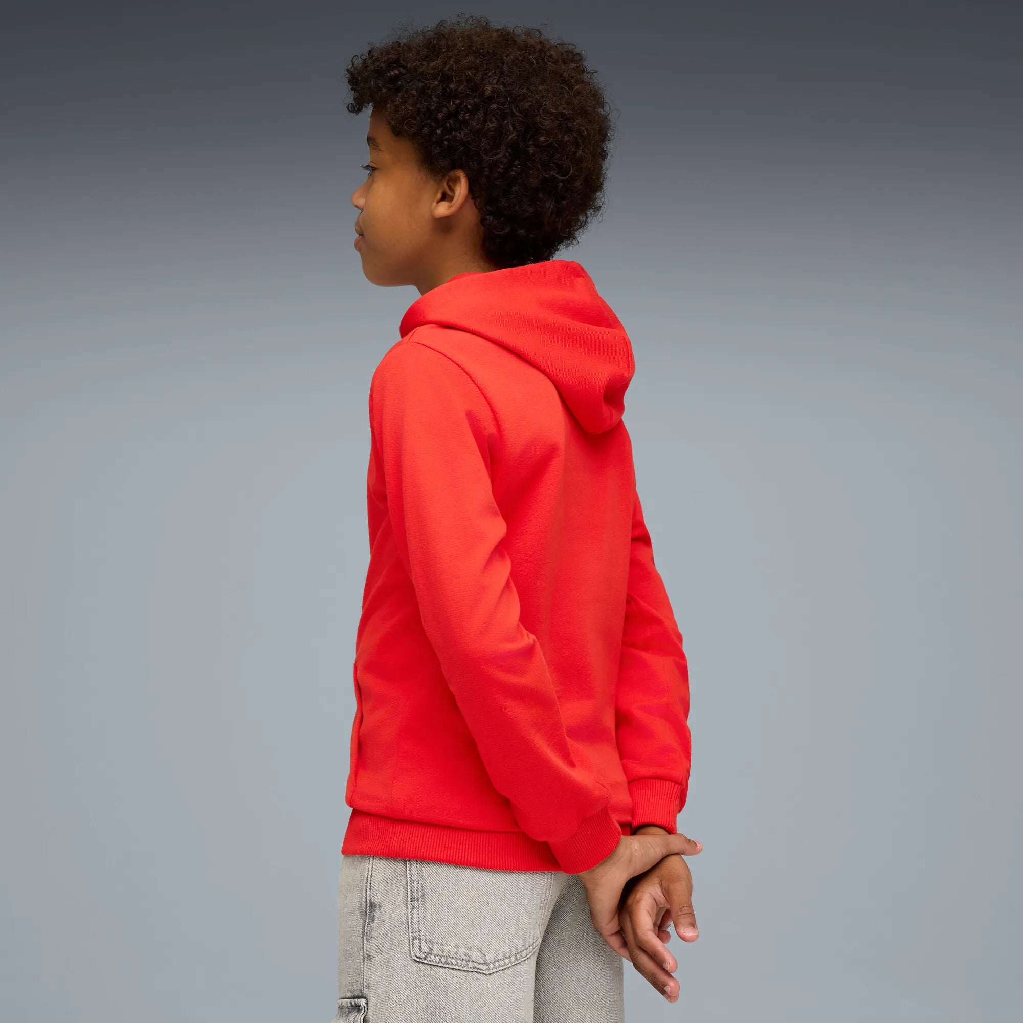 Puma teamGOAL Casuals Hoody Barn