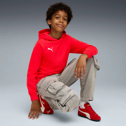 Puma teamGOAL Casuals Hoody Barn