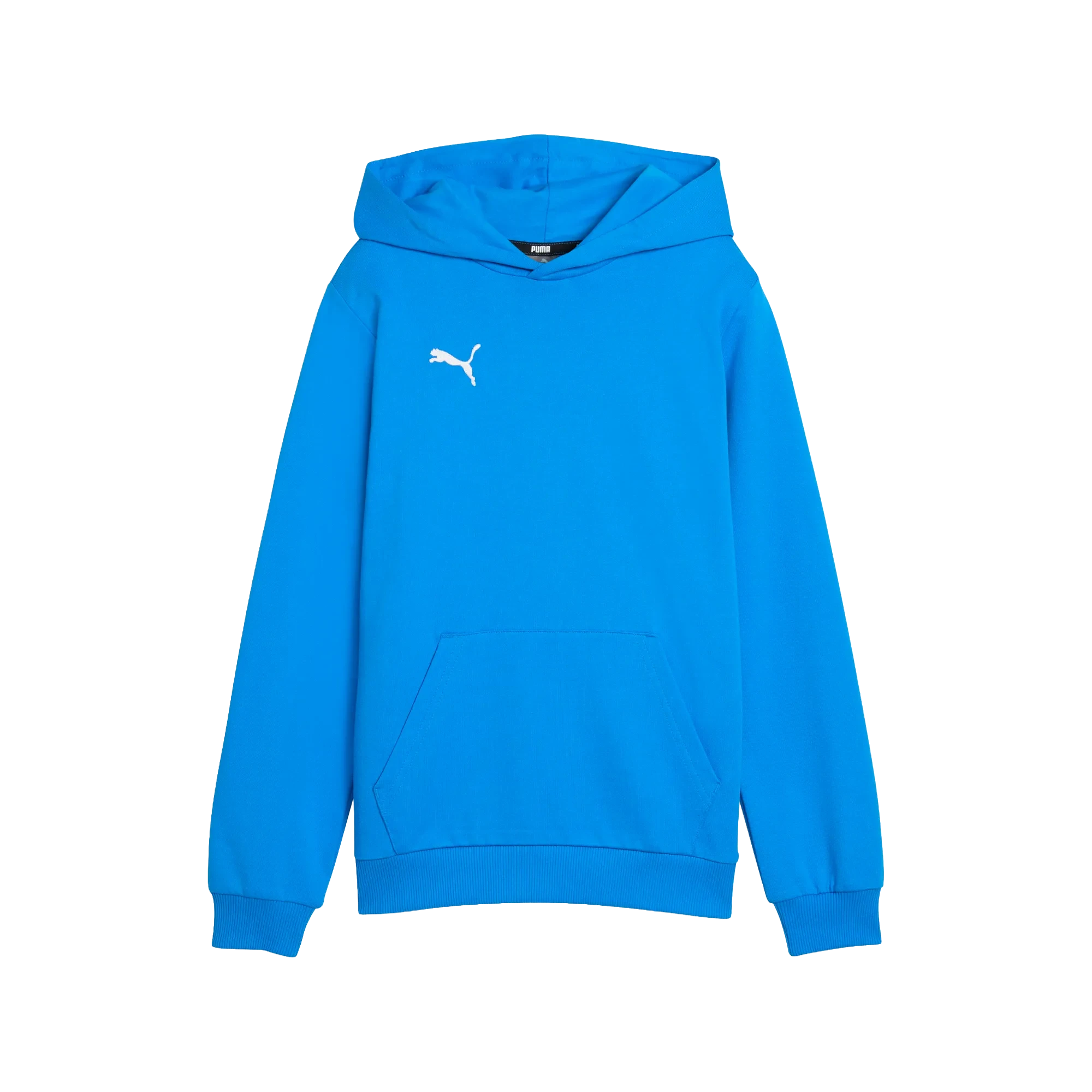 Puma teamGOAL Casuals Hoody Barn