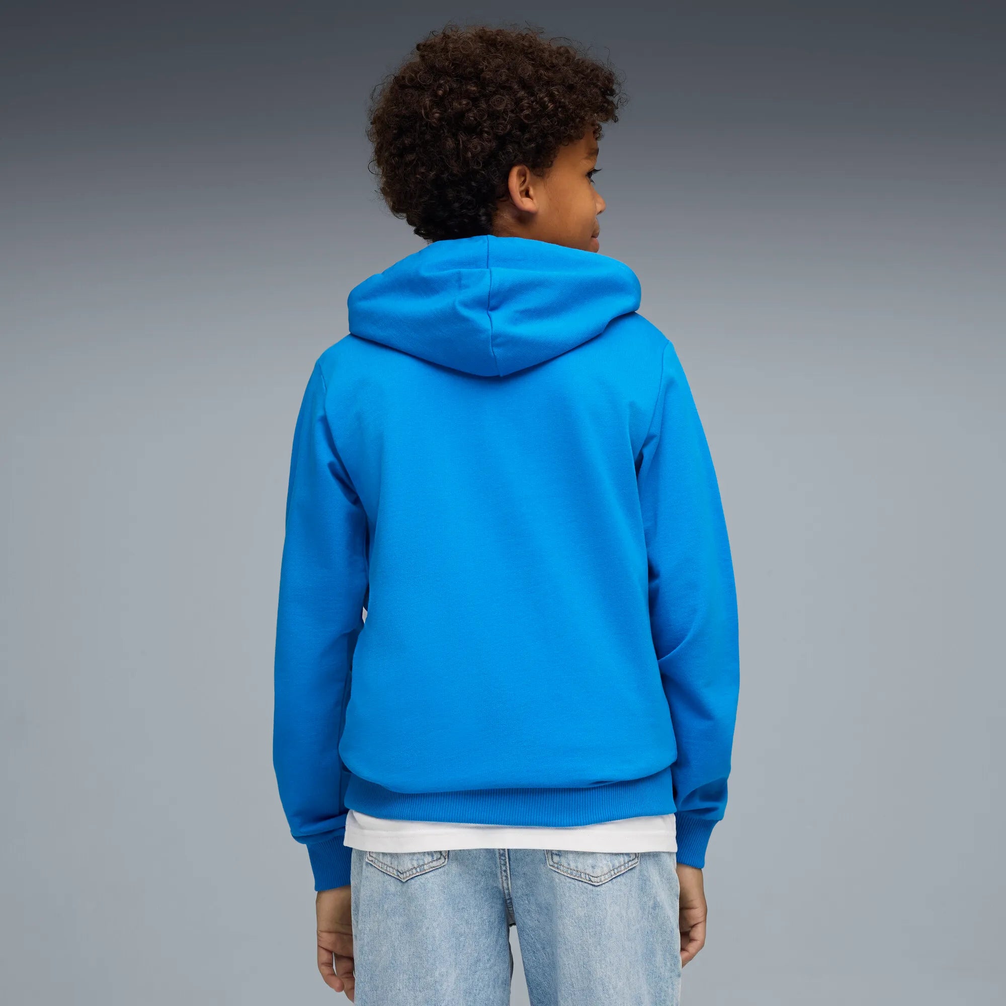 Puma teamGOAL Casuals Hoody Barn