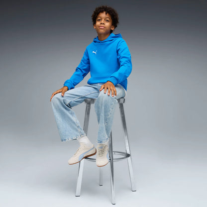 Puma teamGOAL Casuals Hoody Barn