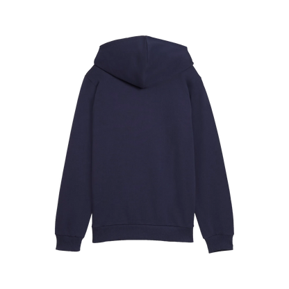 Puma teamGOAL Casuals Hoody Barn