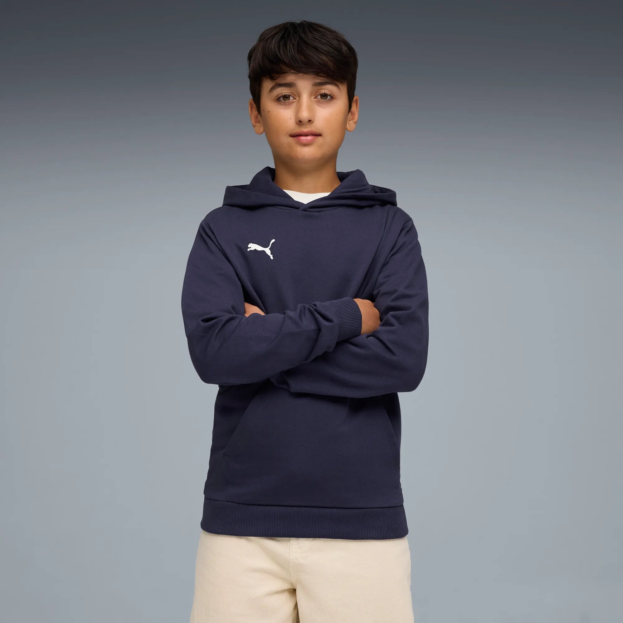 Puma teamGOAL Casuals Hoody Barn