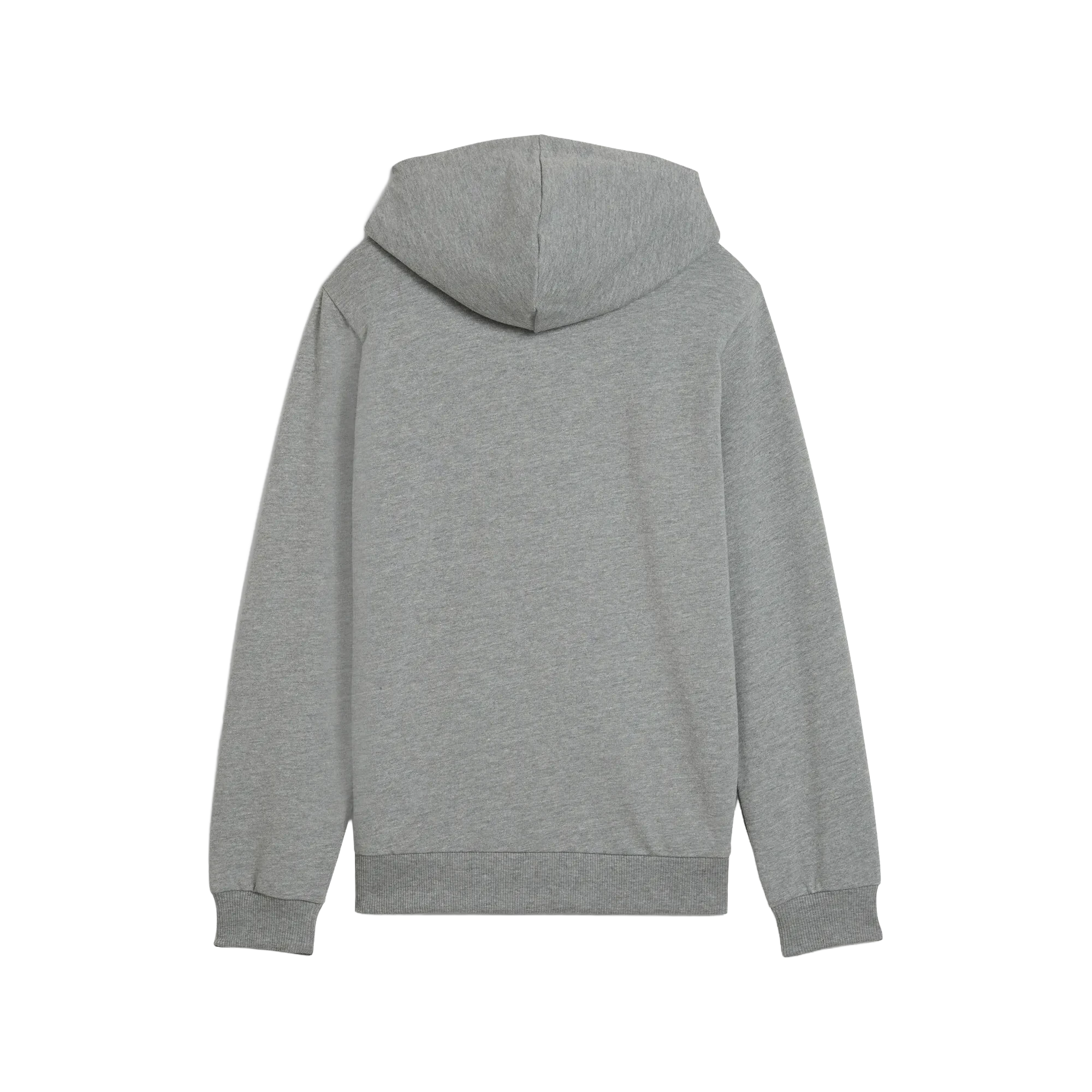 Puma teamGOAL Casuals Hoody Barn