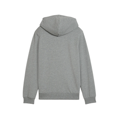 Puma teamGOAL Casuals Hoody Barn