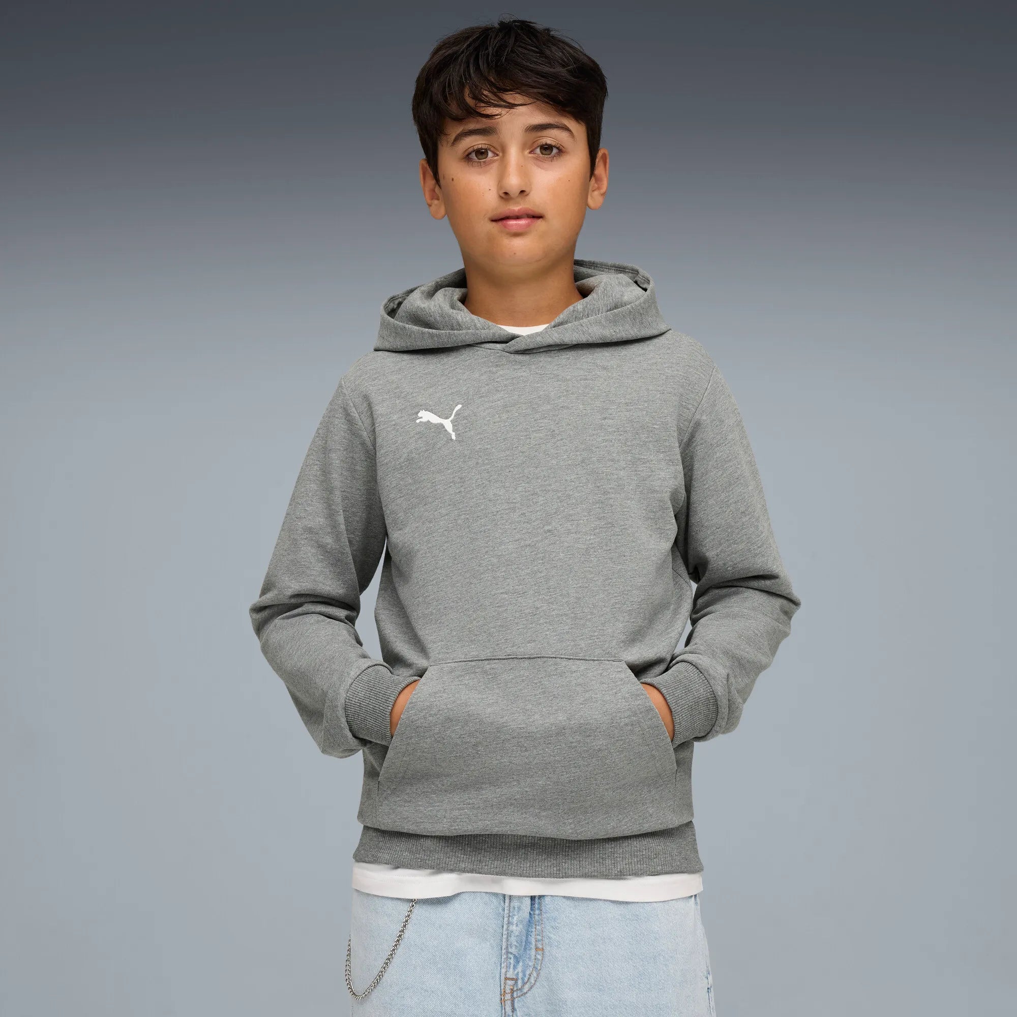 Puma teamGOAL Casuals Hoody Barn