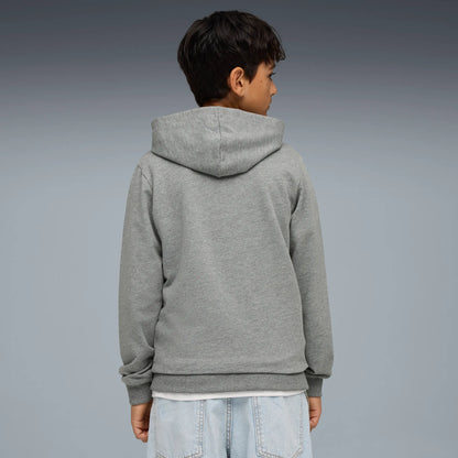 Puma teamGOAL Casuals Hoody Barn