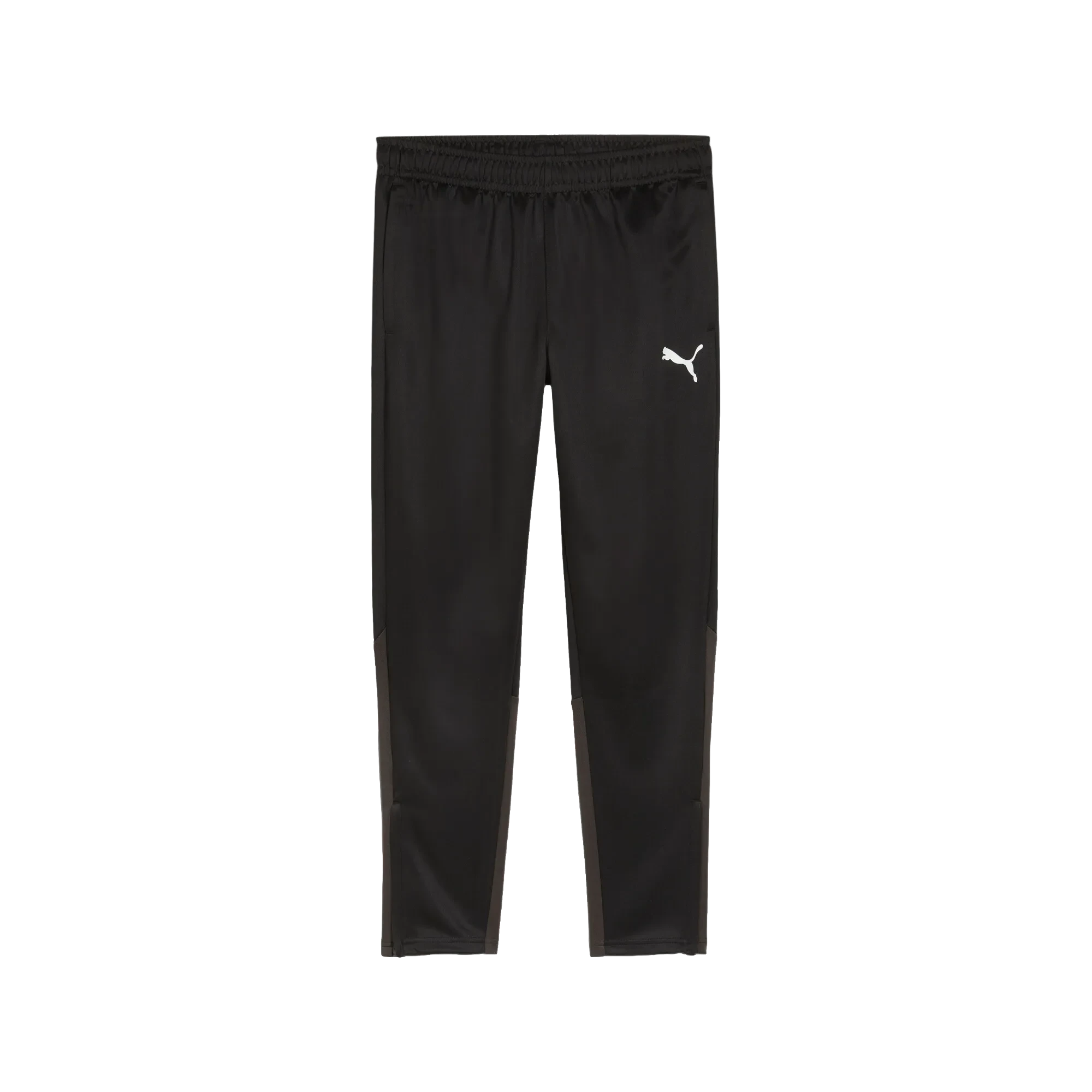 Puma teamGOAL Training Pants Herr
