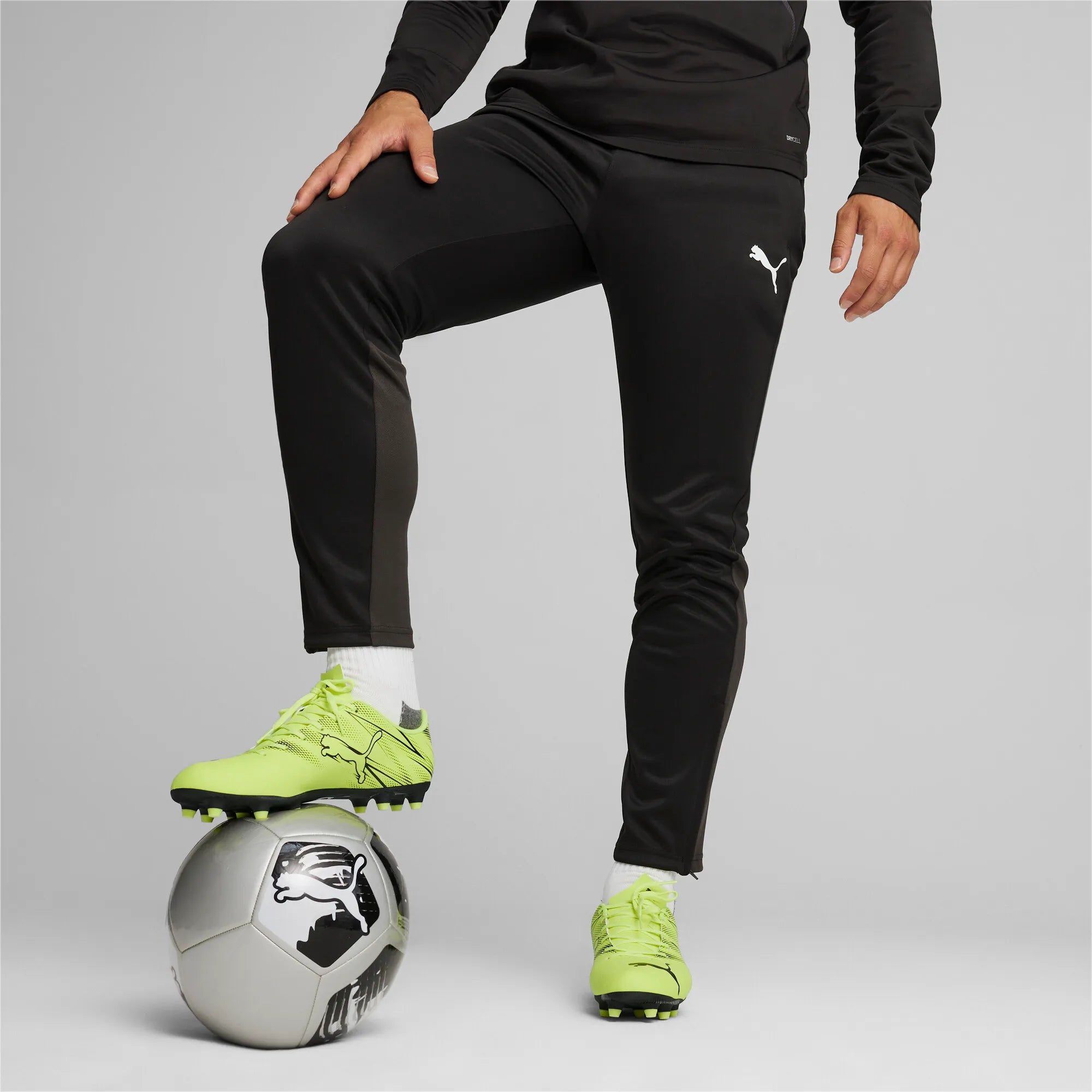 Puma teamGOAL Training Pants Herr