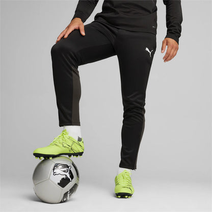 Puma teamGOAL Training Pants Herr