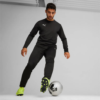 Puma teamGOAL Training Pants Herr